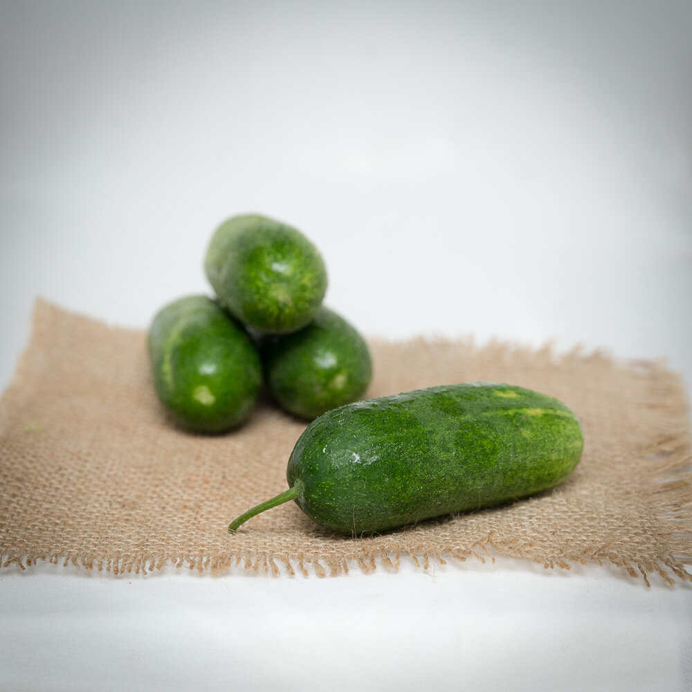 zf_pickling_cuke_bigger-2.jpg