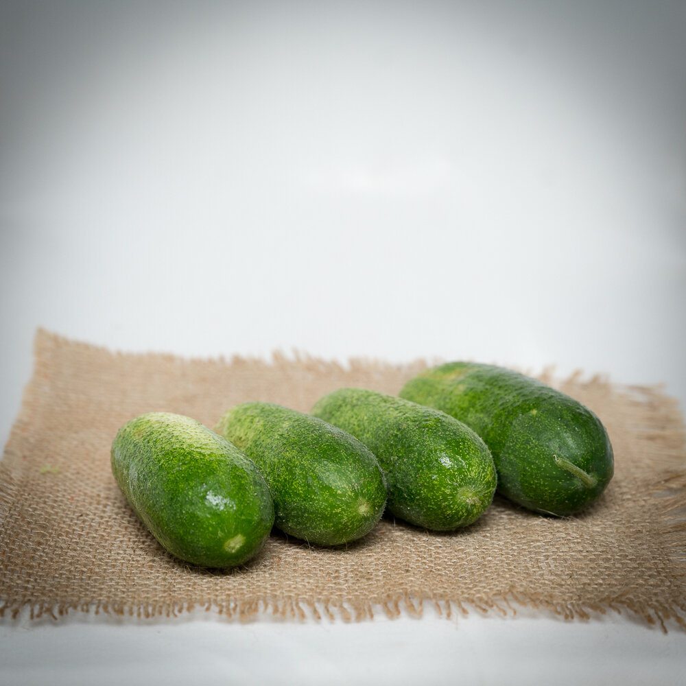zf_pickling_cuke_bigger.jpg