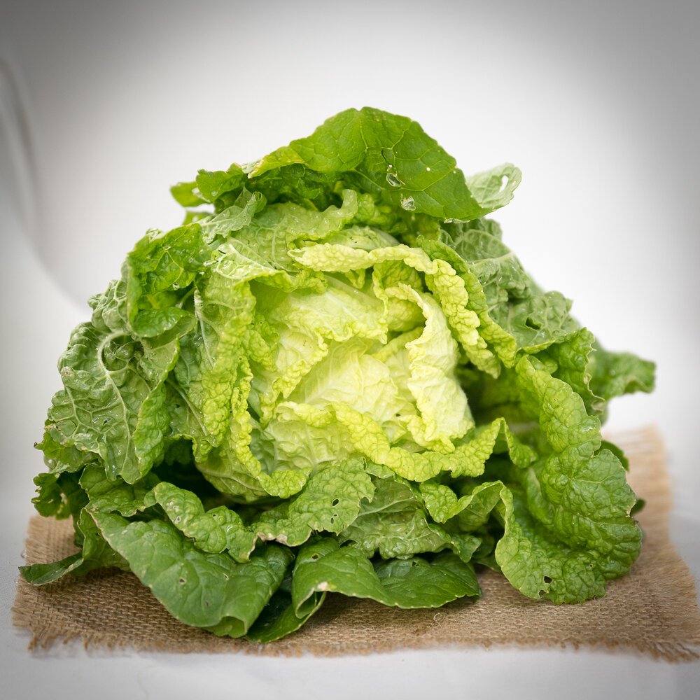 zf_napa_cabbage.jpg