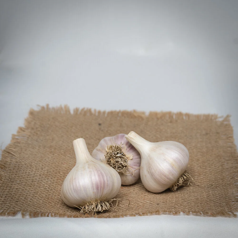 Garlic Head