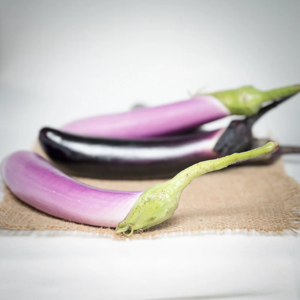 Eggplant - Orient Express and Orient Charm