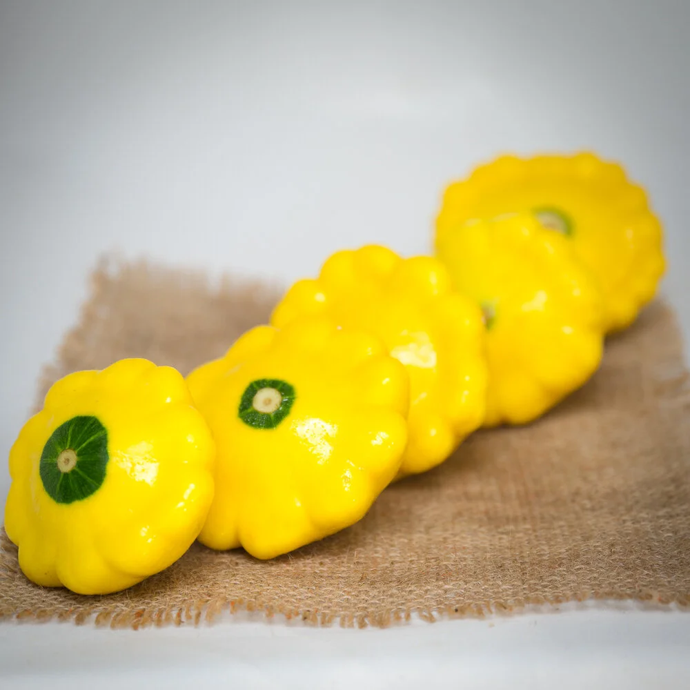 zf_pattypan-3.jpg