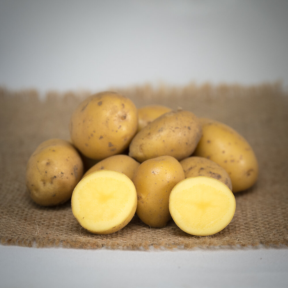 zf_potato_natascha-2.jpg