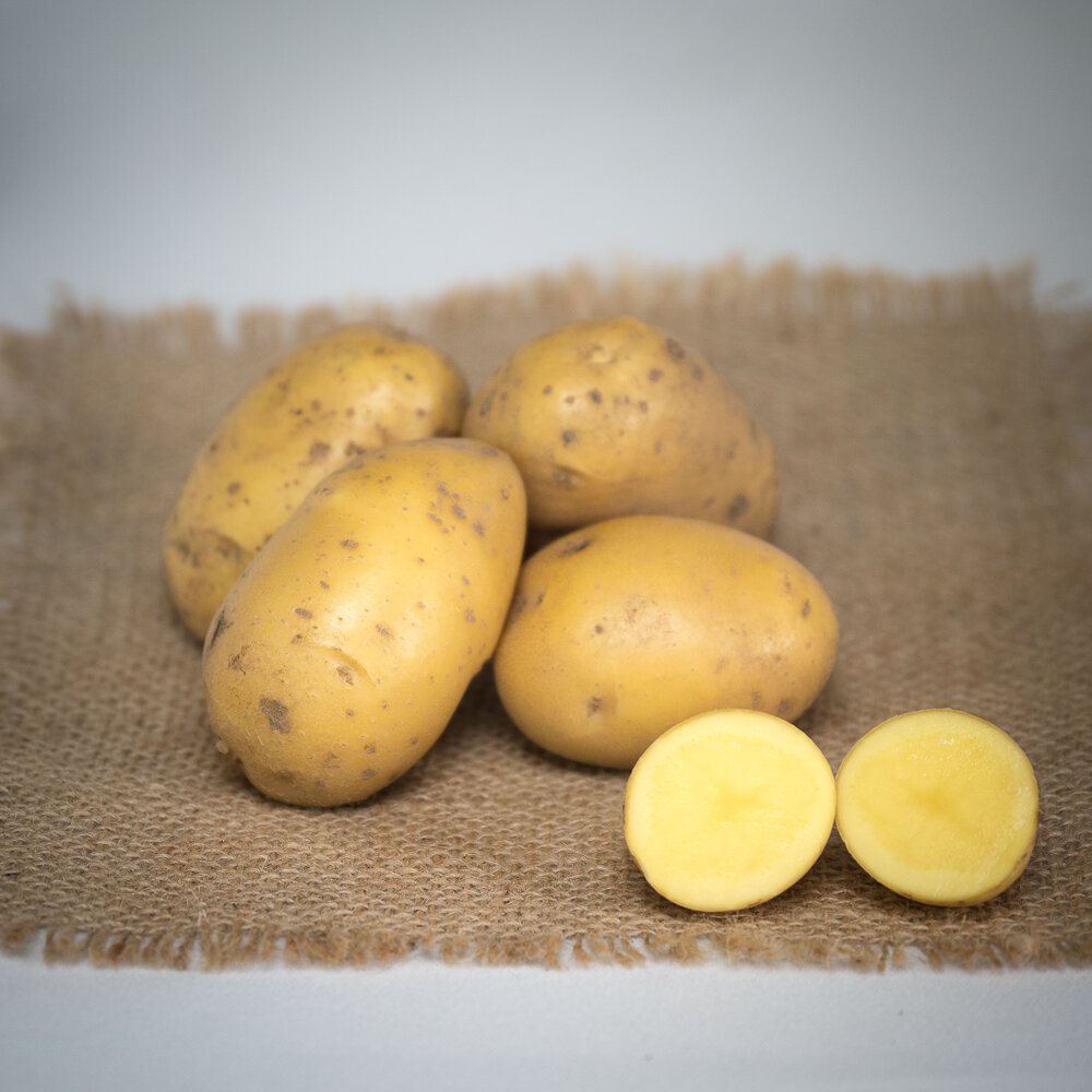 zf_potato_natascha-1.jpg