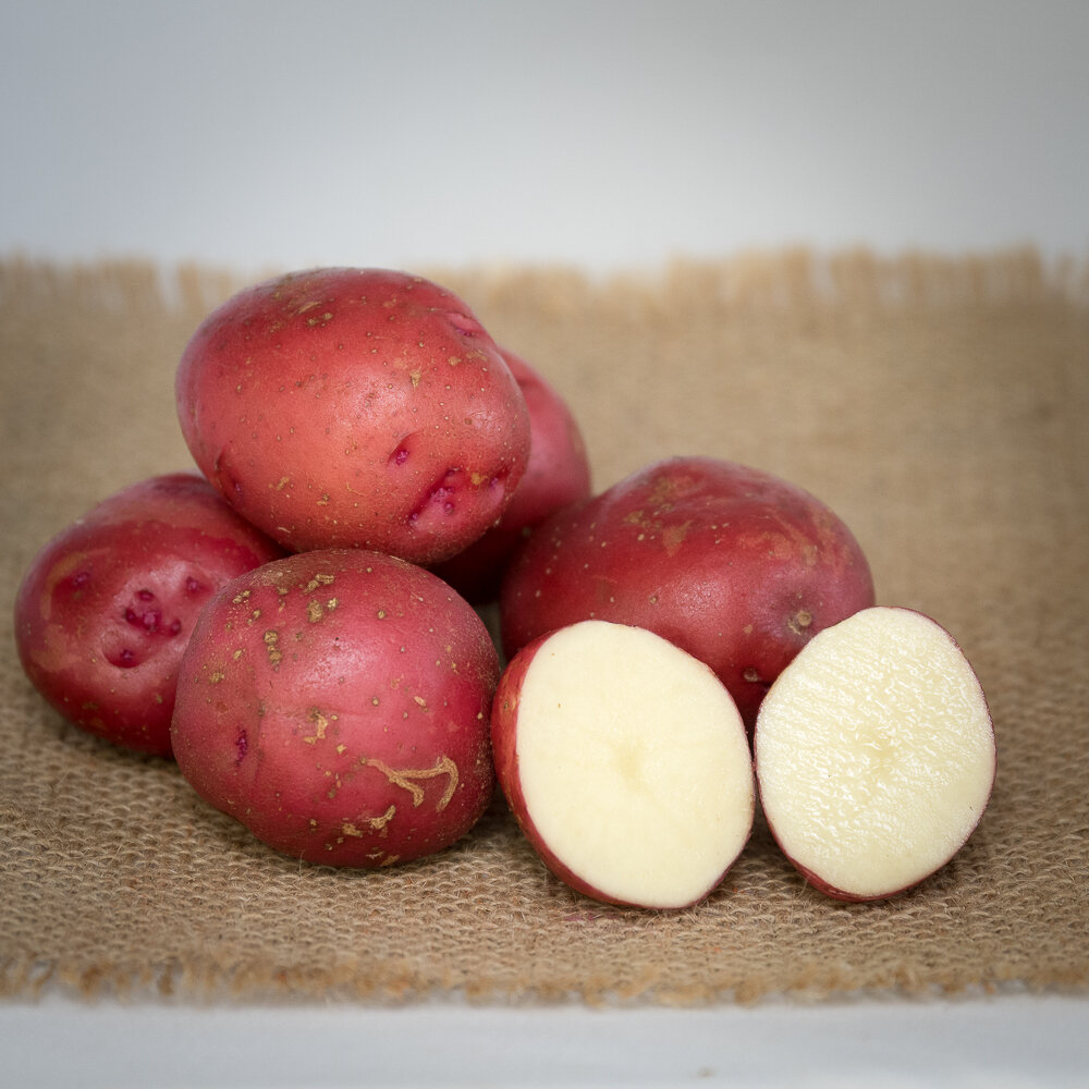 zf_potato_drn-4.jpg