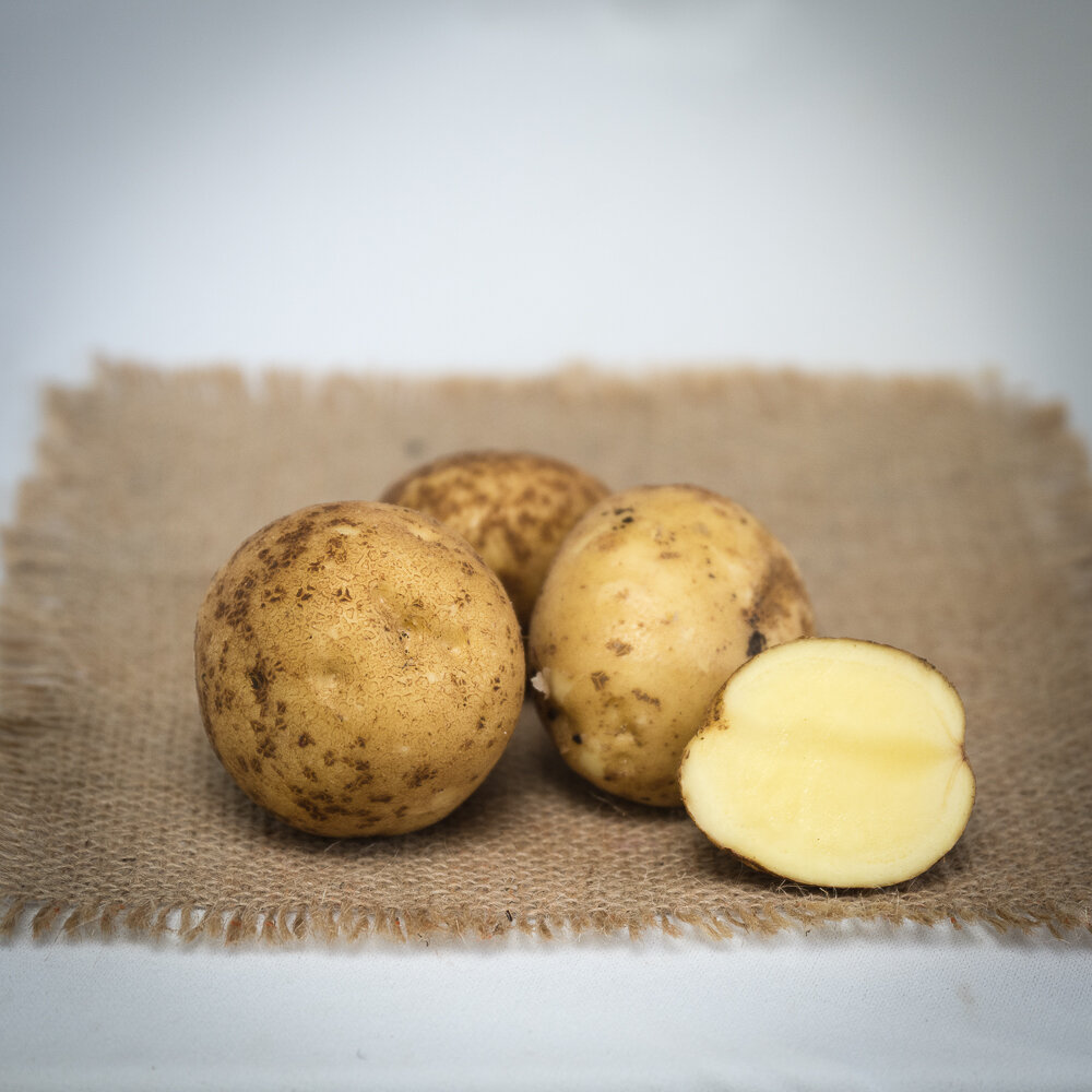 Potato - Keuka Gold - 5lb