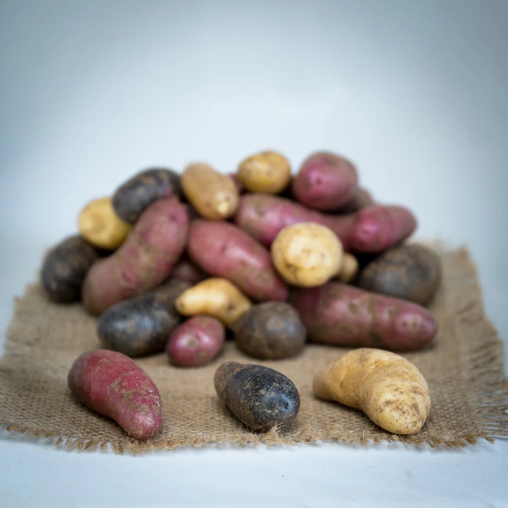 Potato - Assorted Fingerlings