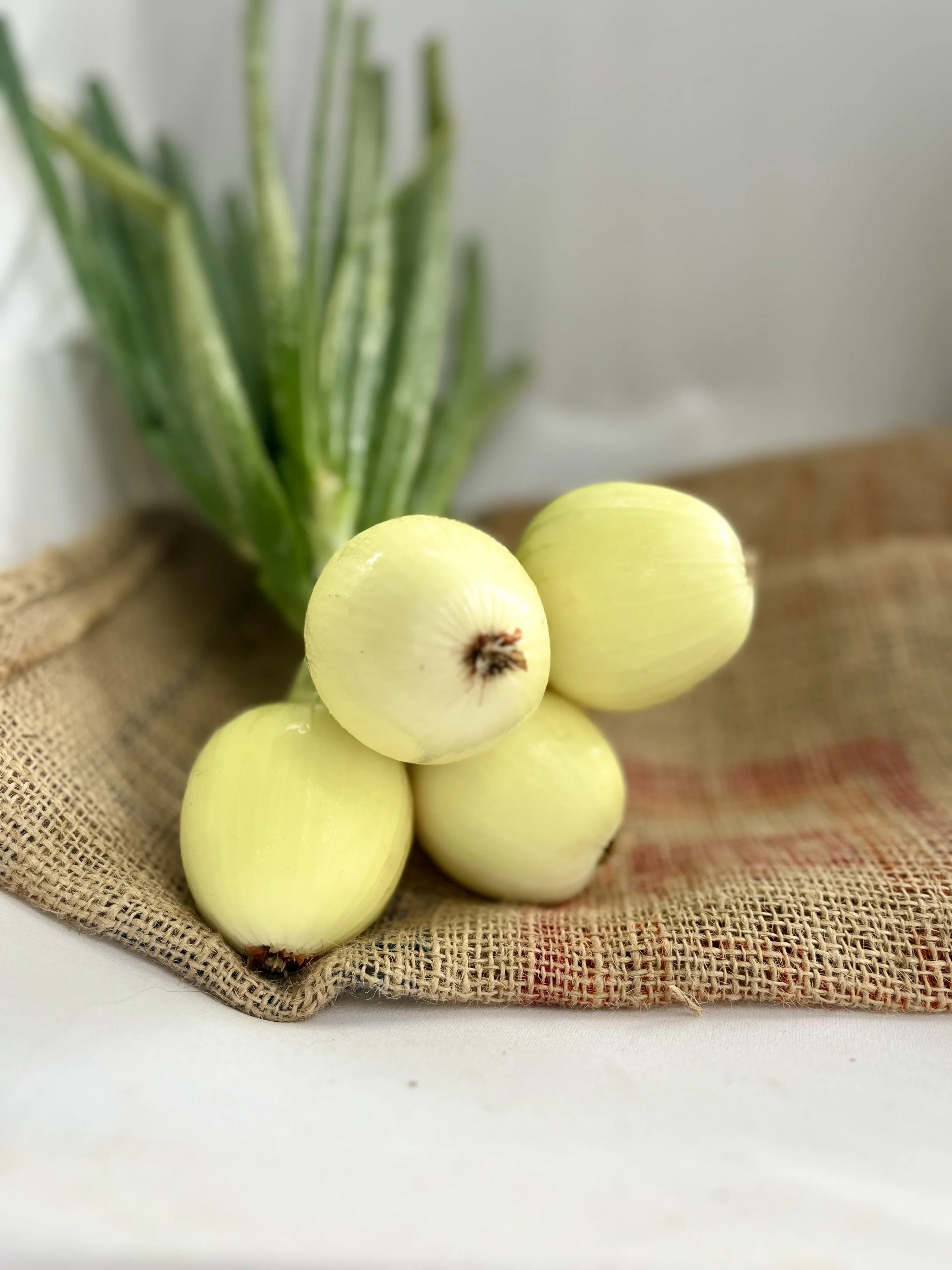 fresh yellow onions.jpg