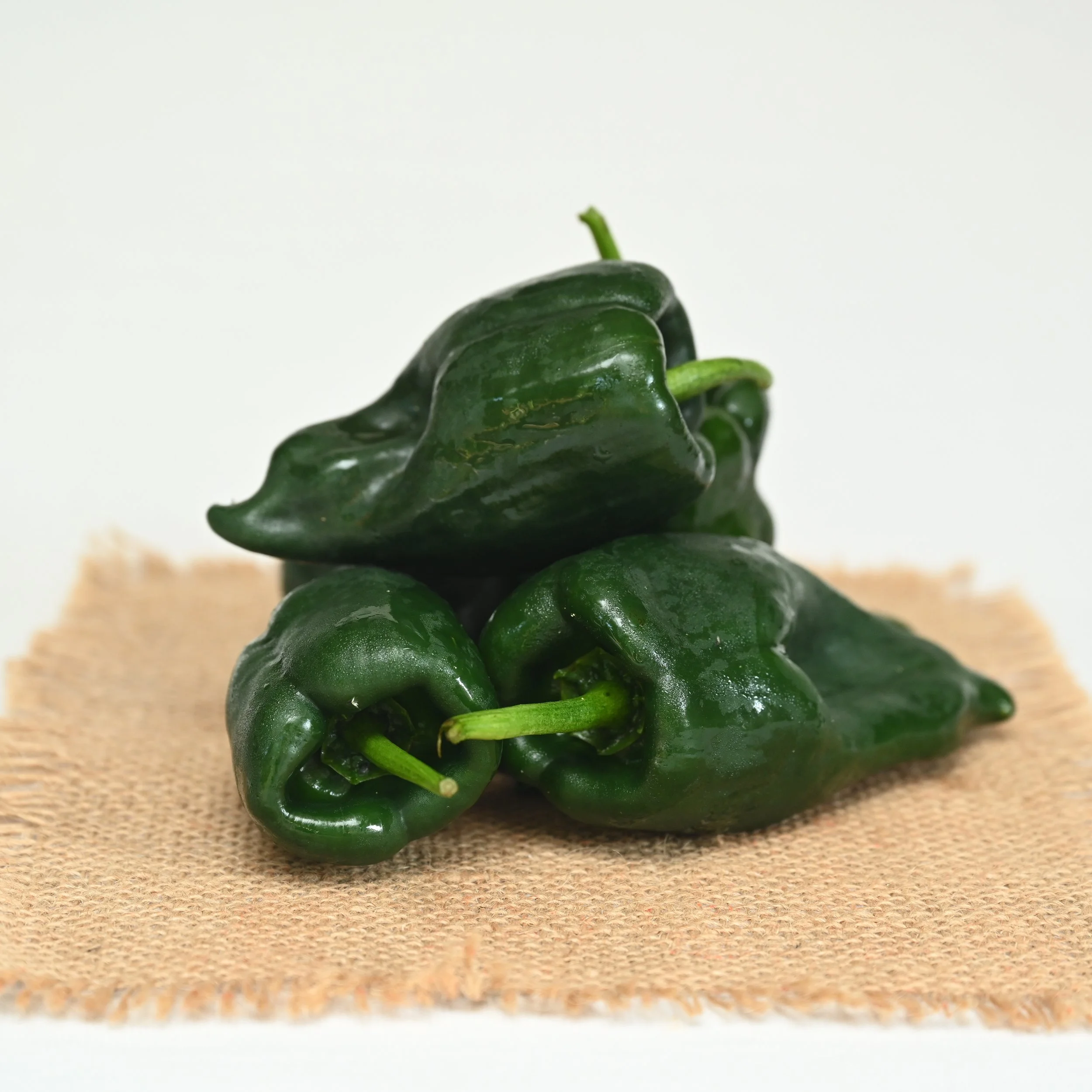 Pepper - Poblano - 1lb