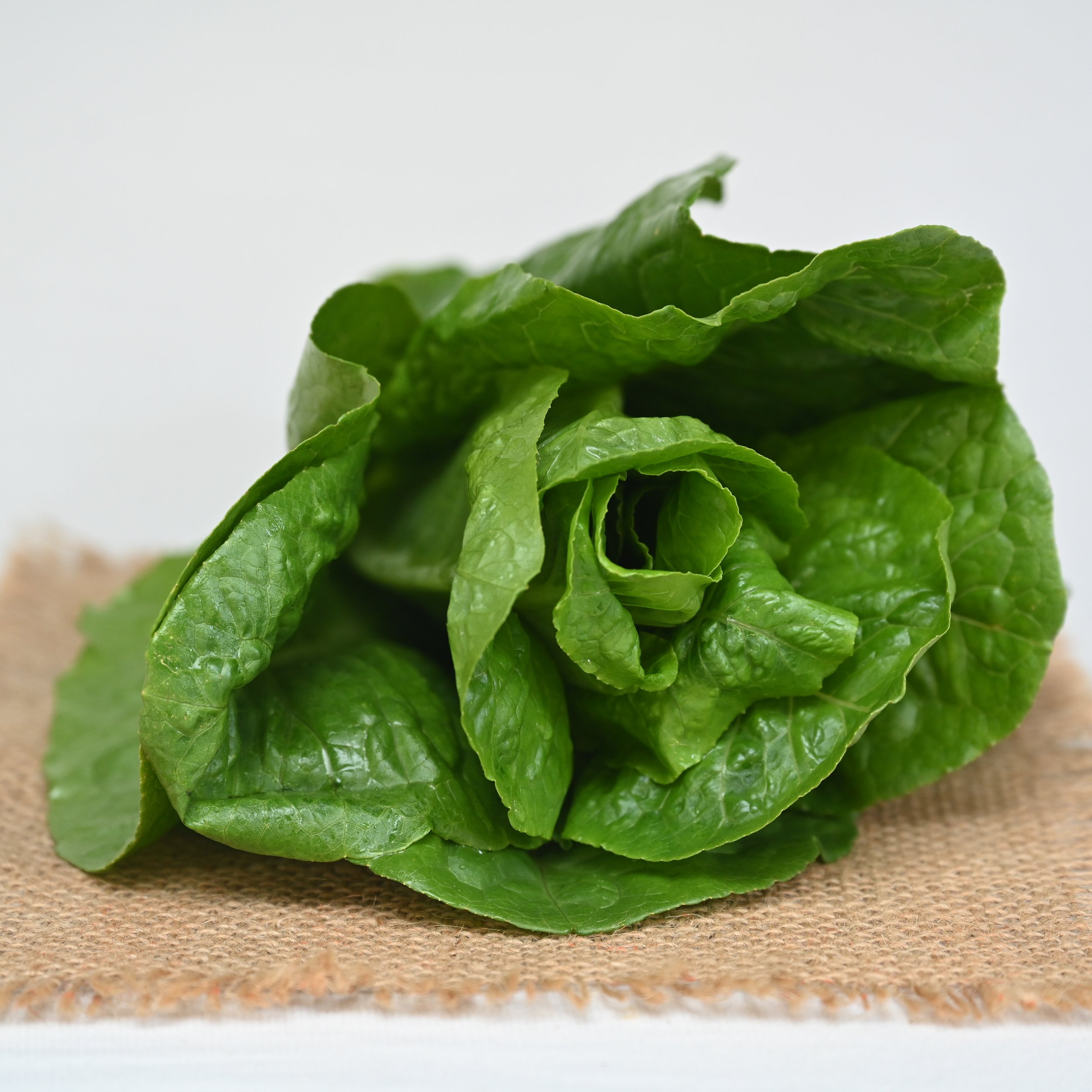 Romaine