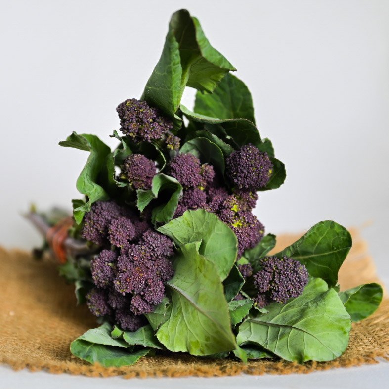 Broccoli - Purple Sprouting