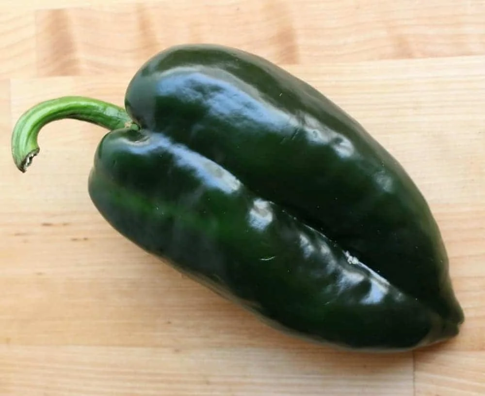 Poblano-Pepper-2.jpg