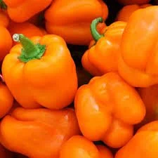orange bell.jpg