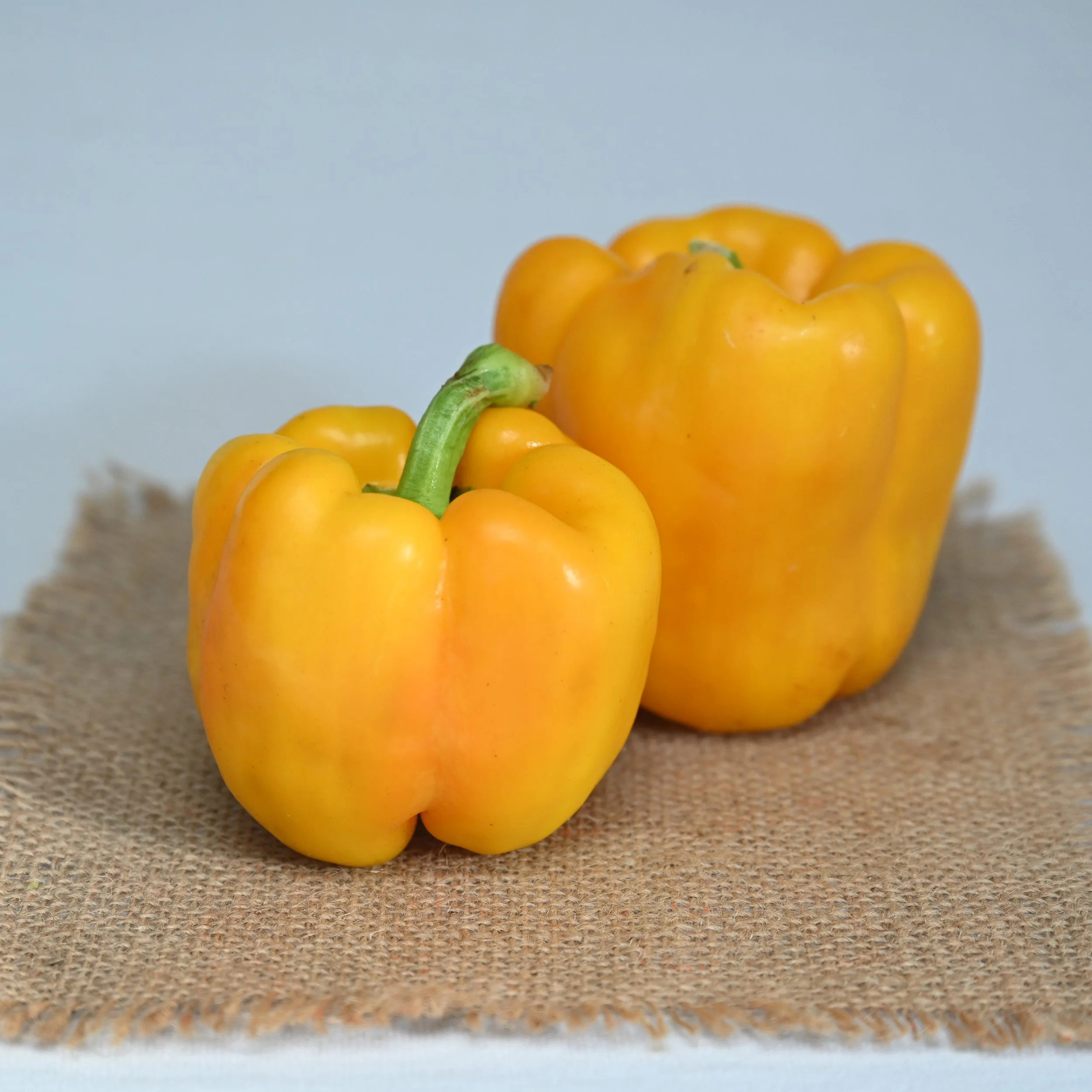 Peppers - Yellow Bell 1lb