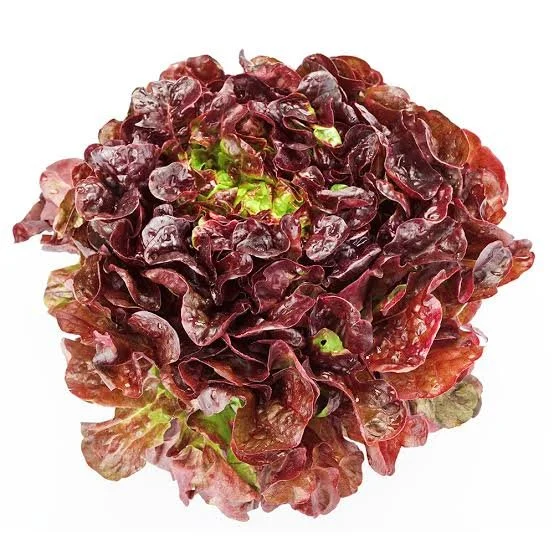 red leaf.jpg