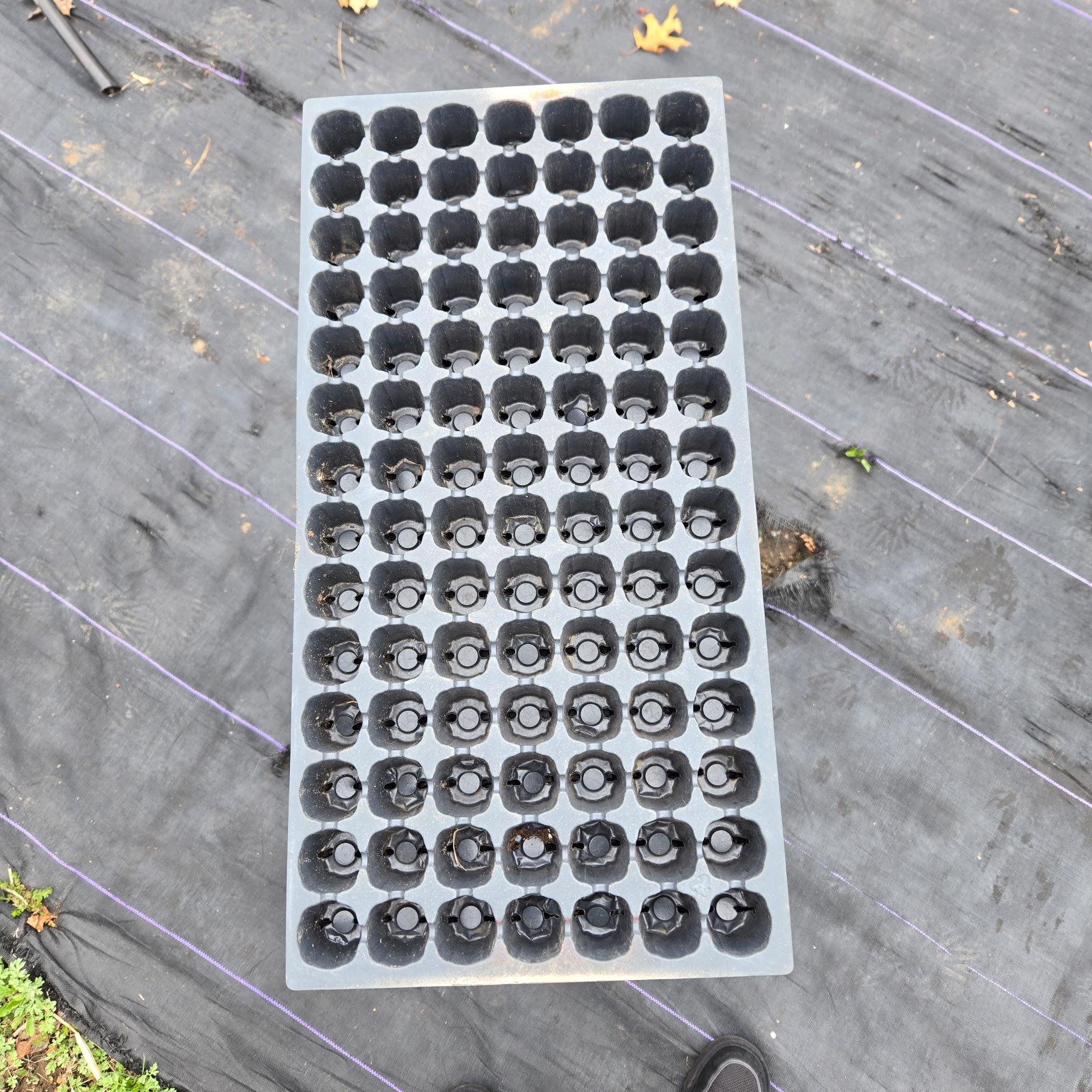 96 Cell Seeding Trays