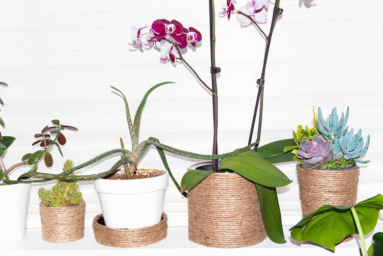 Make your own hemp rope pots for your plants for under $5⁠⠀
⁠⠀
These were each made using a leftover container. From left to right we have... Sour cream container, takeout container, coffee container, and yogurt container. ⁠⠀
⁠⠀
#DIY #planter #plante