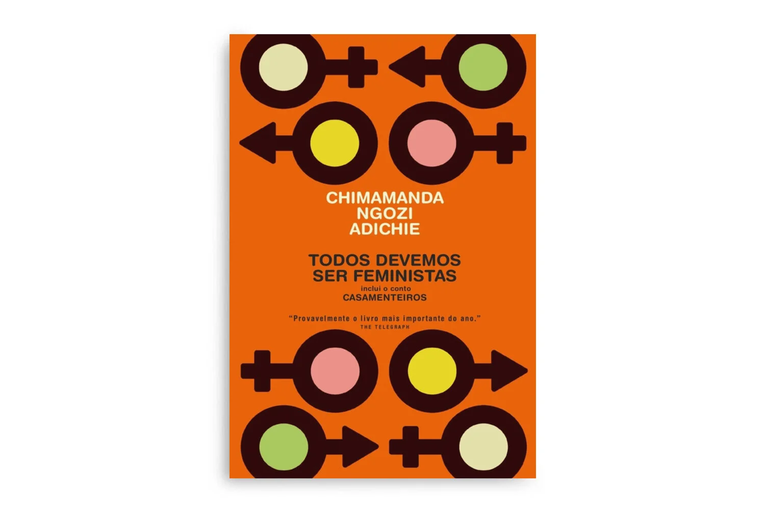 Todos Devemos Ser Feministas - Chimamanda Ngozi Adichie