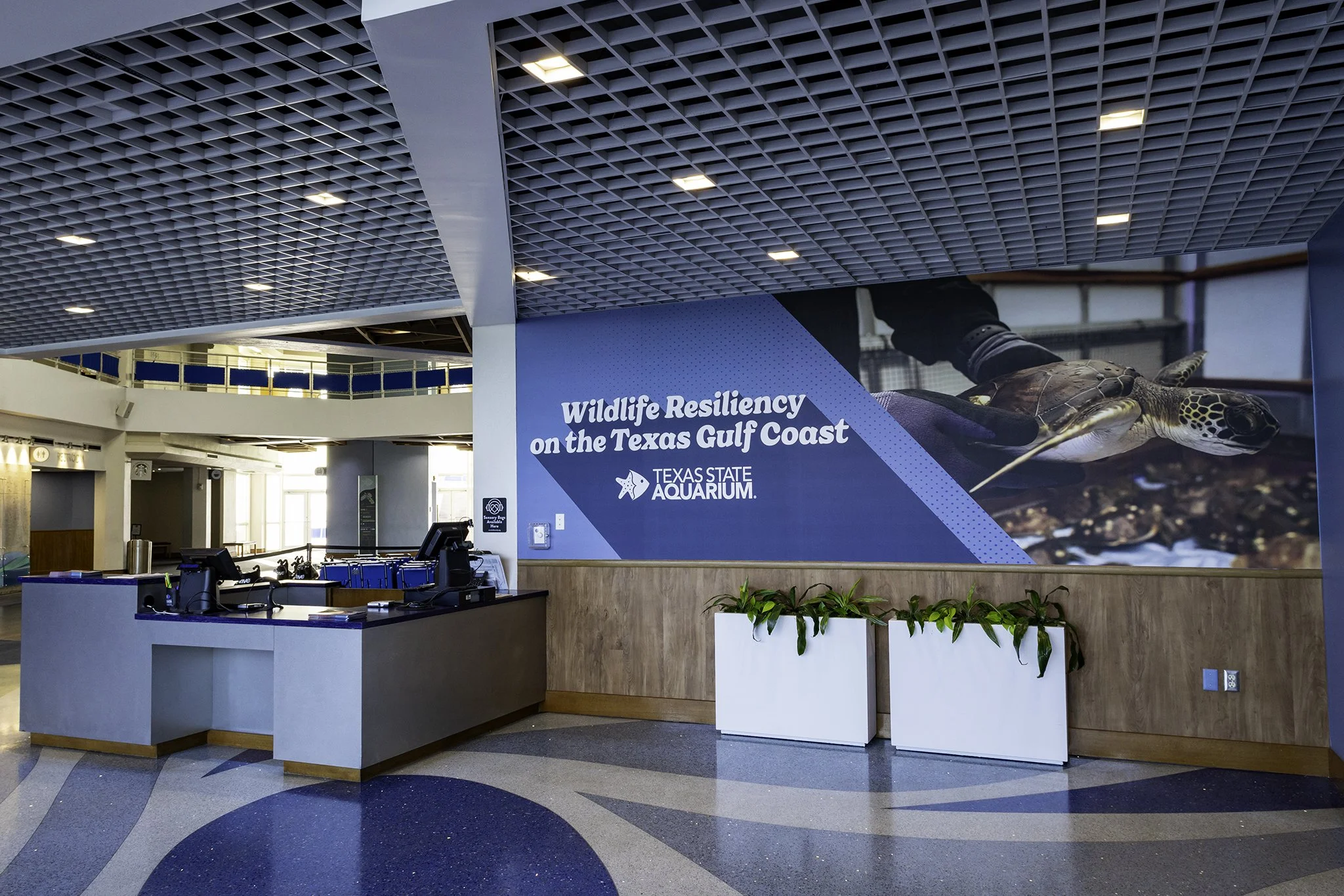 Lobby Mural 1 2048.jpg