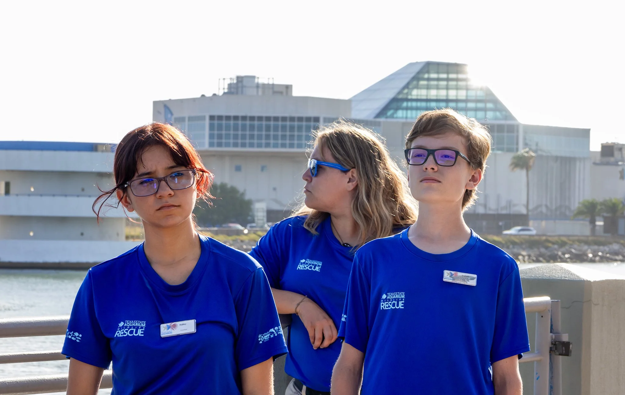 Trio 2048.jpg