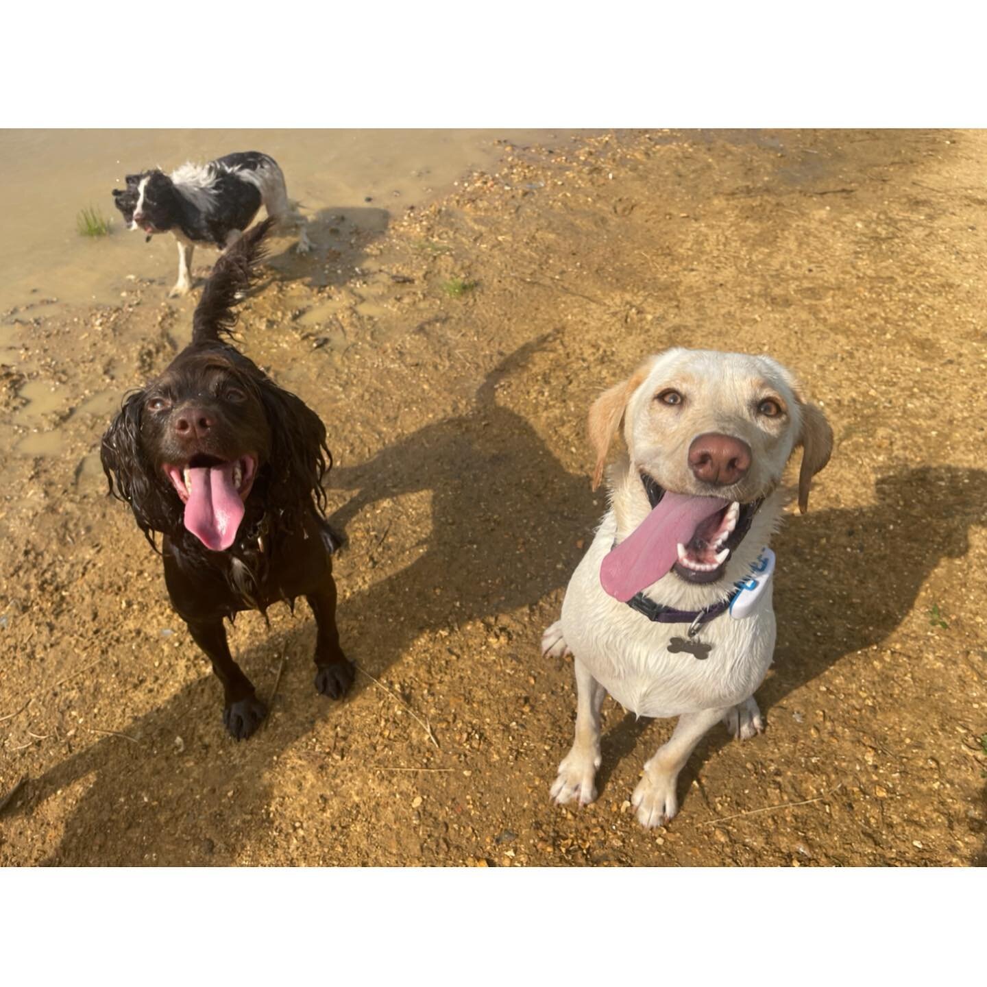 Today&rsquo;s fun in the woods!! It&rsquo;s so hot so we visited the water!!❤️