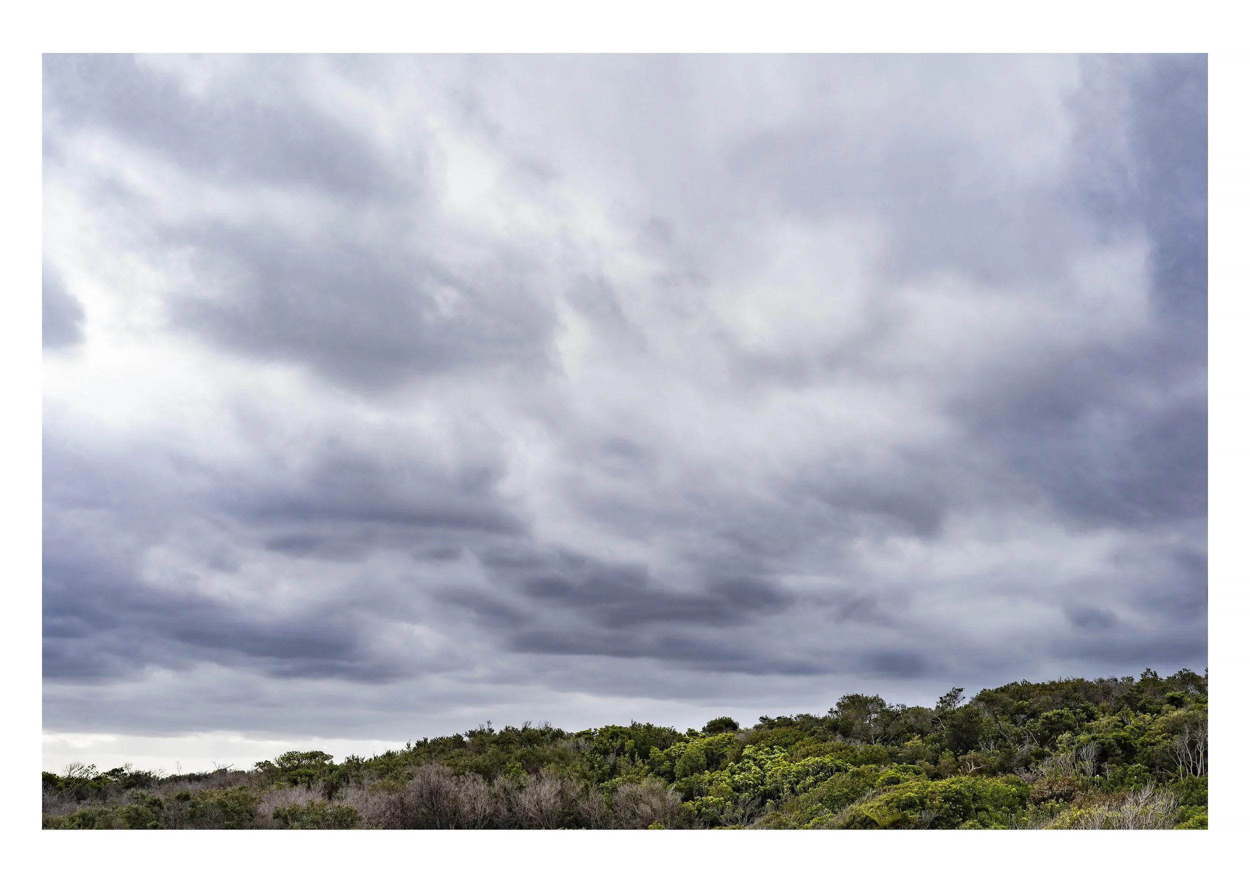 North Head.jpg