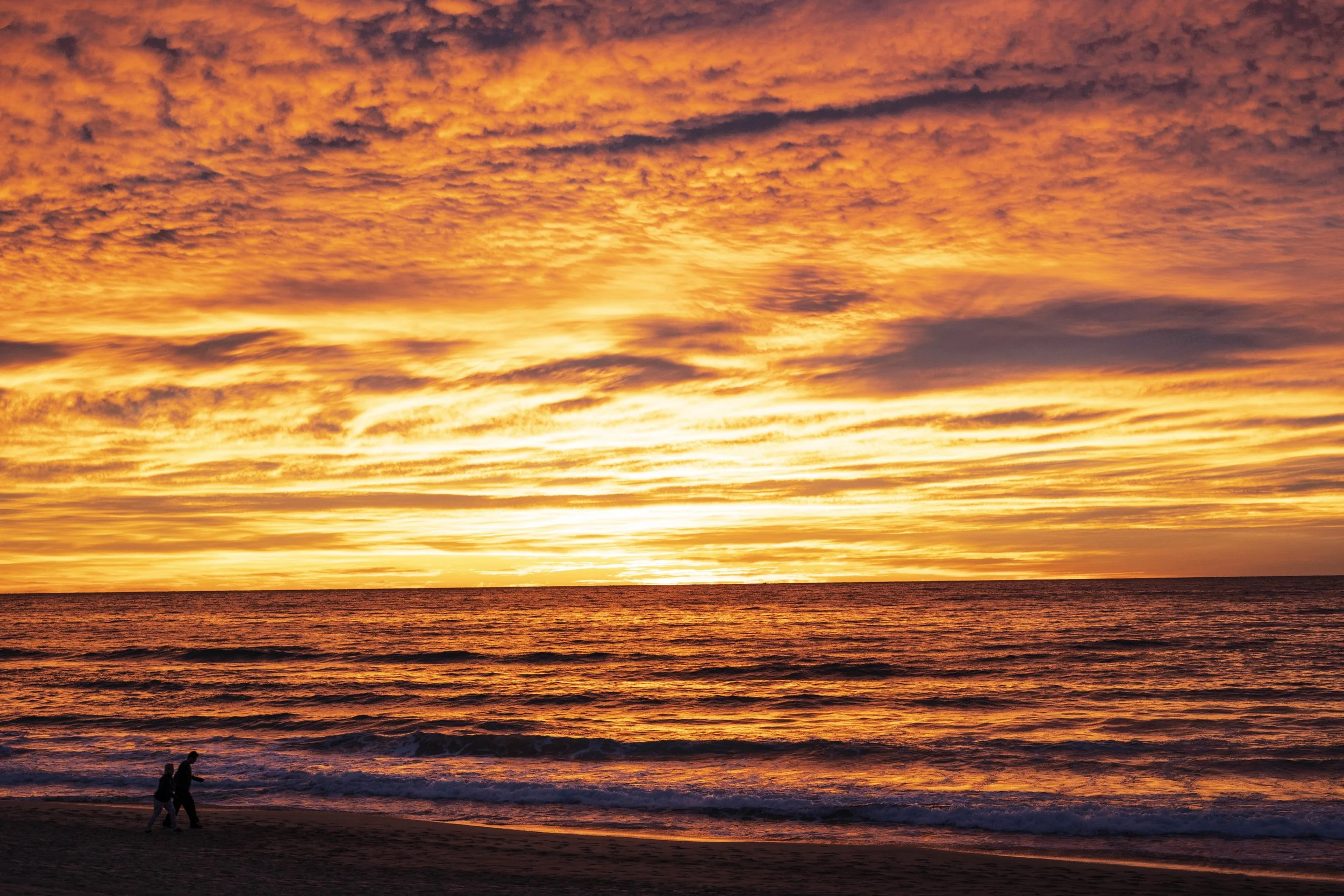 Morning Walk-edit.jpg