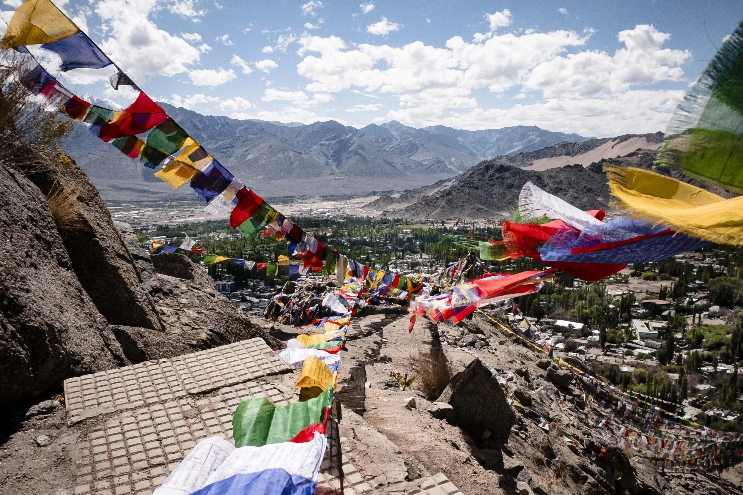 Leh from the Top.jpg