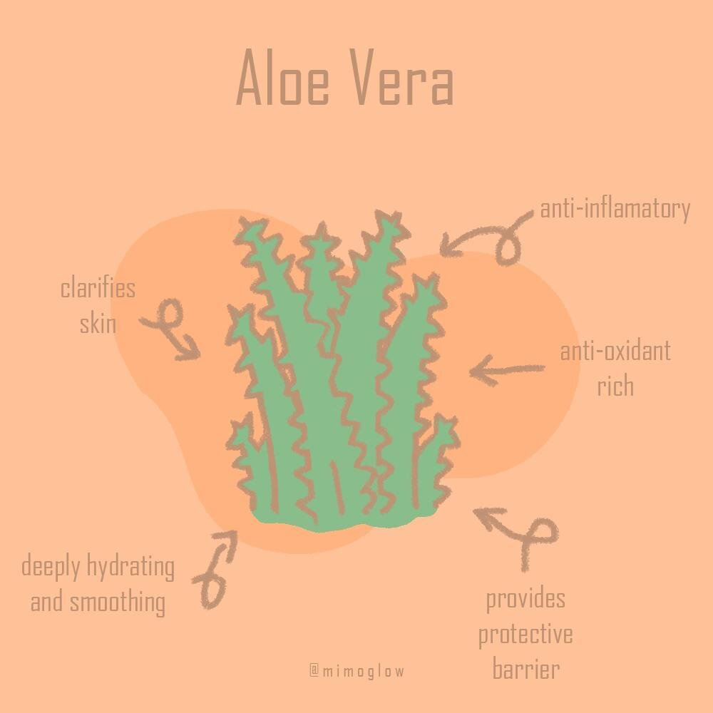 What's the hype with aloe vera? Well here's why, if you don't know yet!⁠
.⁠
.⁠
.⁠
.⁠
.⁠
.⁠
.⁠
.⁠
.⁠
.⁠
#Mimogloww #skincareapp #aloevera #aloeveraplant #aloeveraforever #aloeveratreatment #dryskinsolution #dryskinsolutions #skincare #skincareingredie