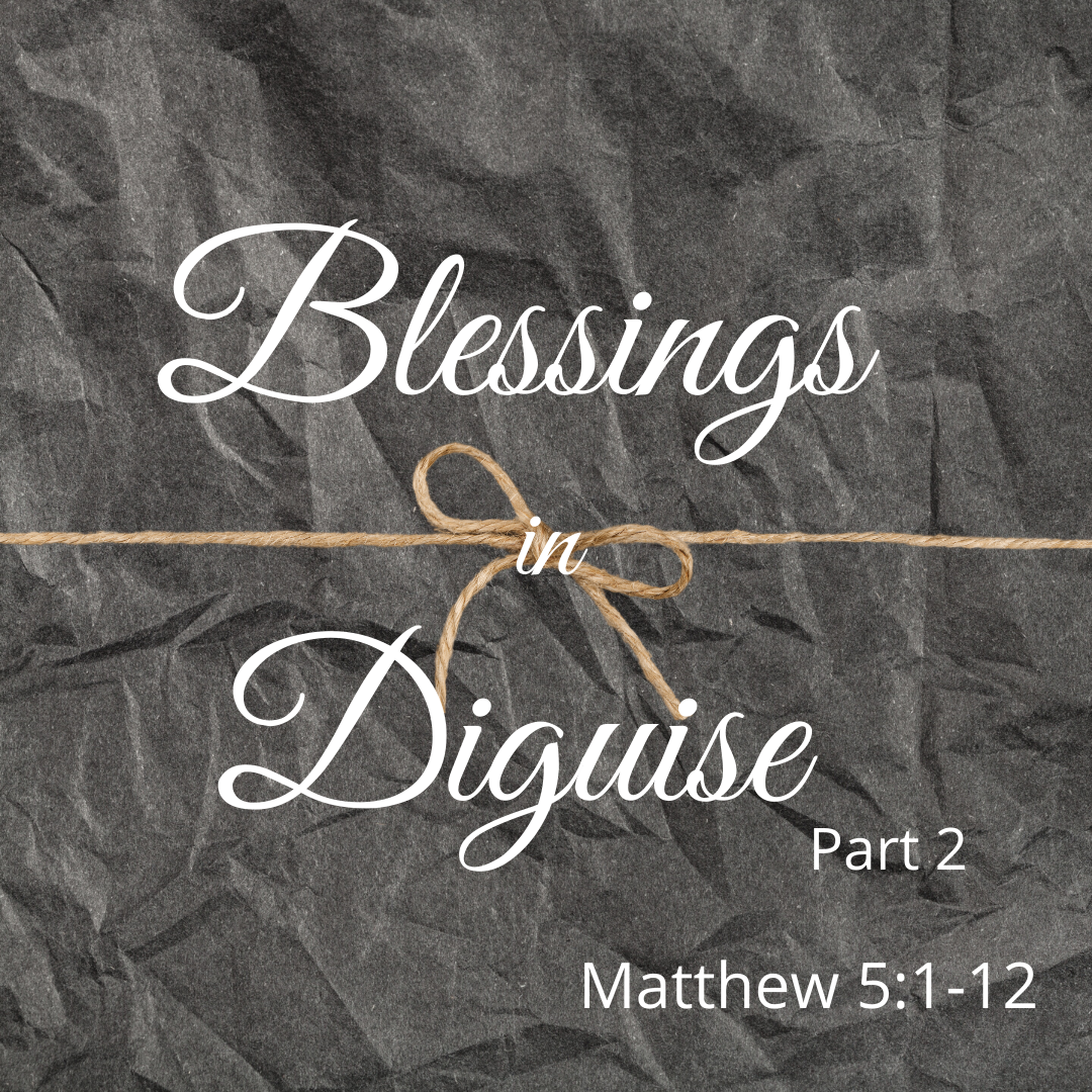 Blessings in Disguise Part 2