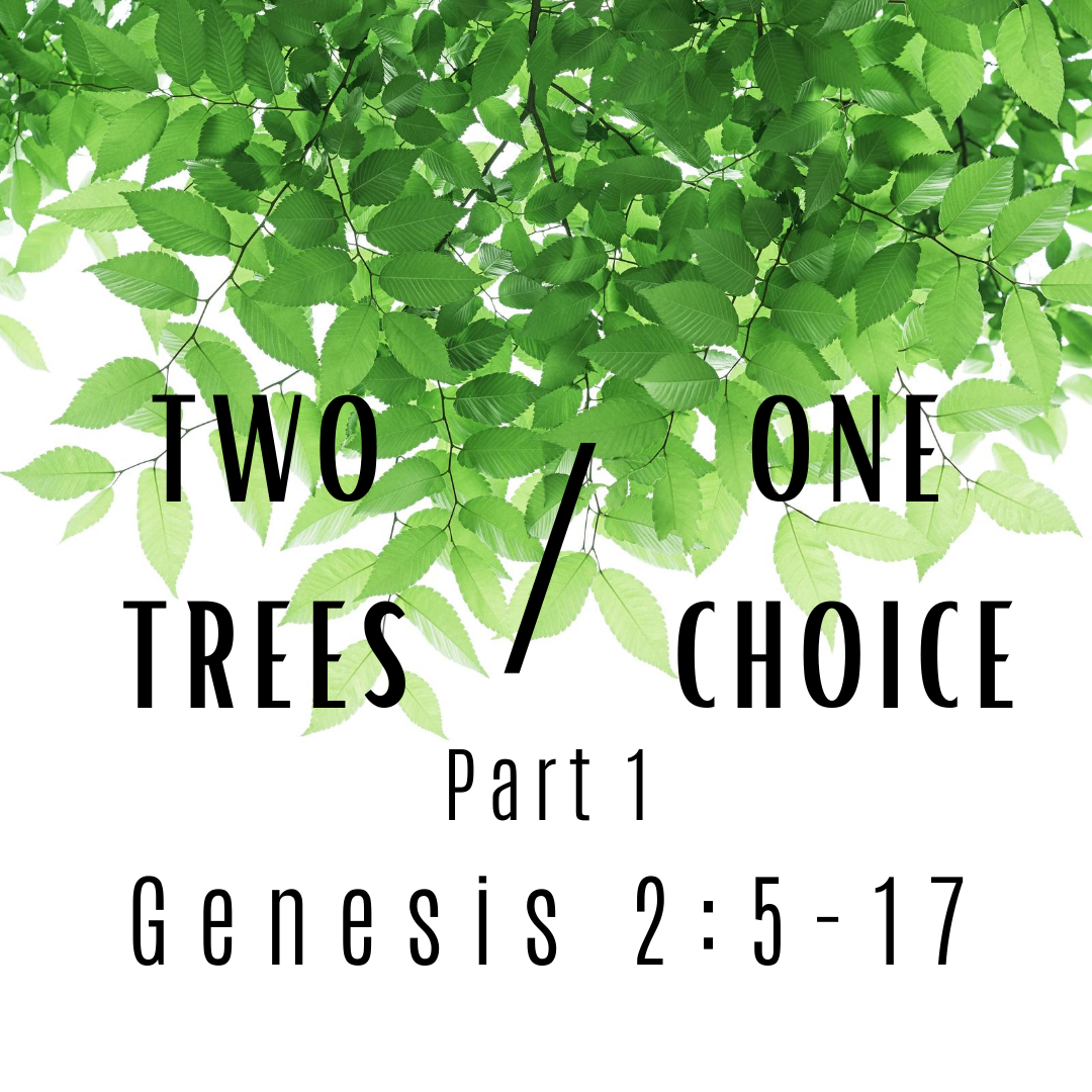 Genesis 2:5-17 Part 1