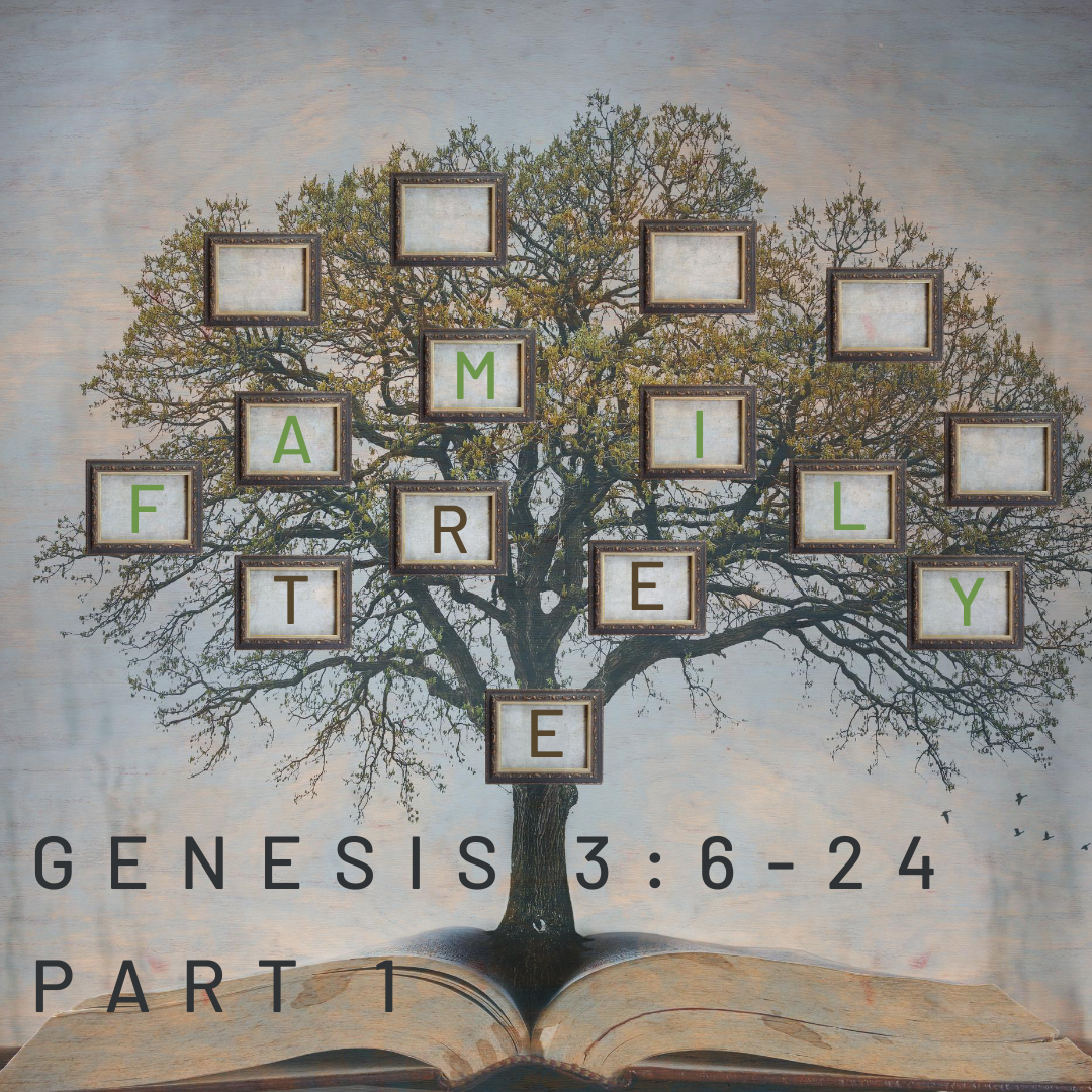 Genesis 3:6-24 Part 1 episode artwork