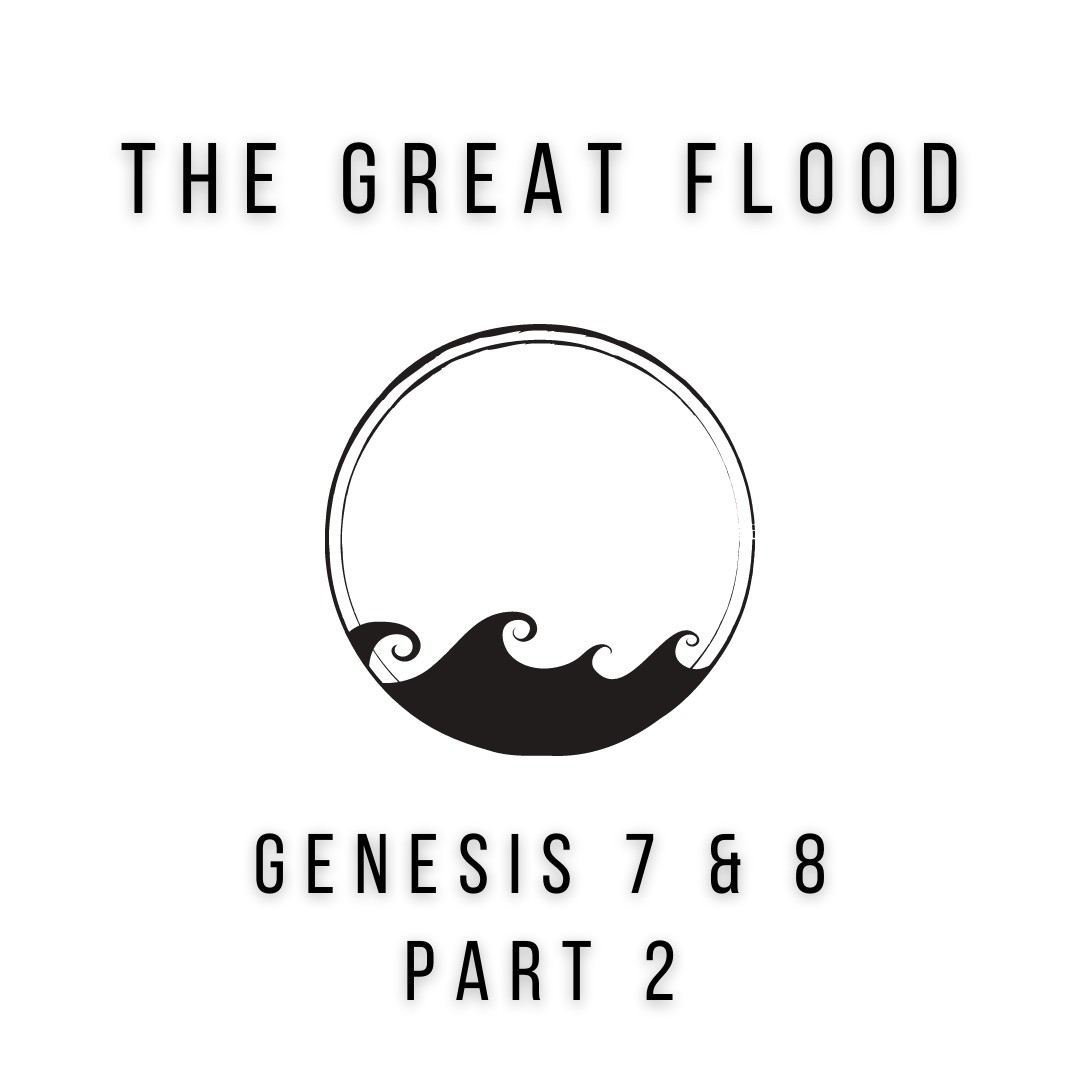 Genesis 7 & 8 Part 2 episode artwork
