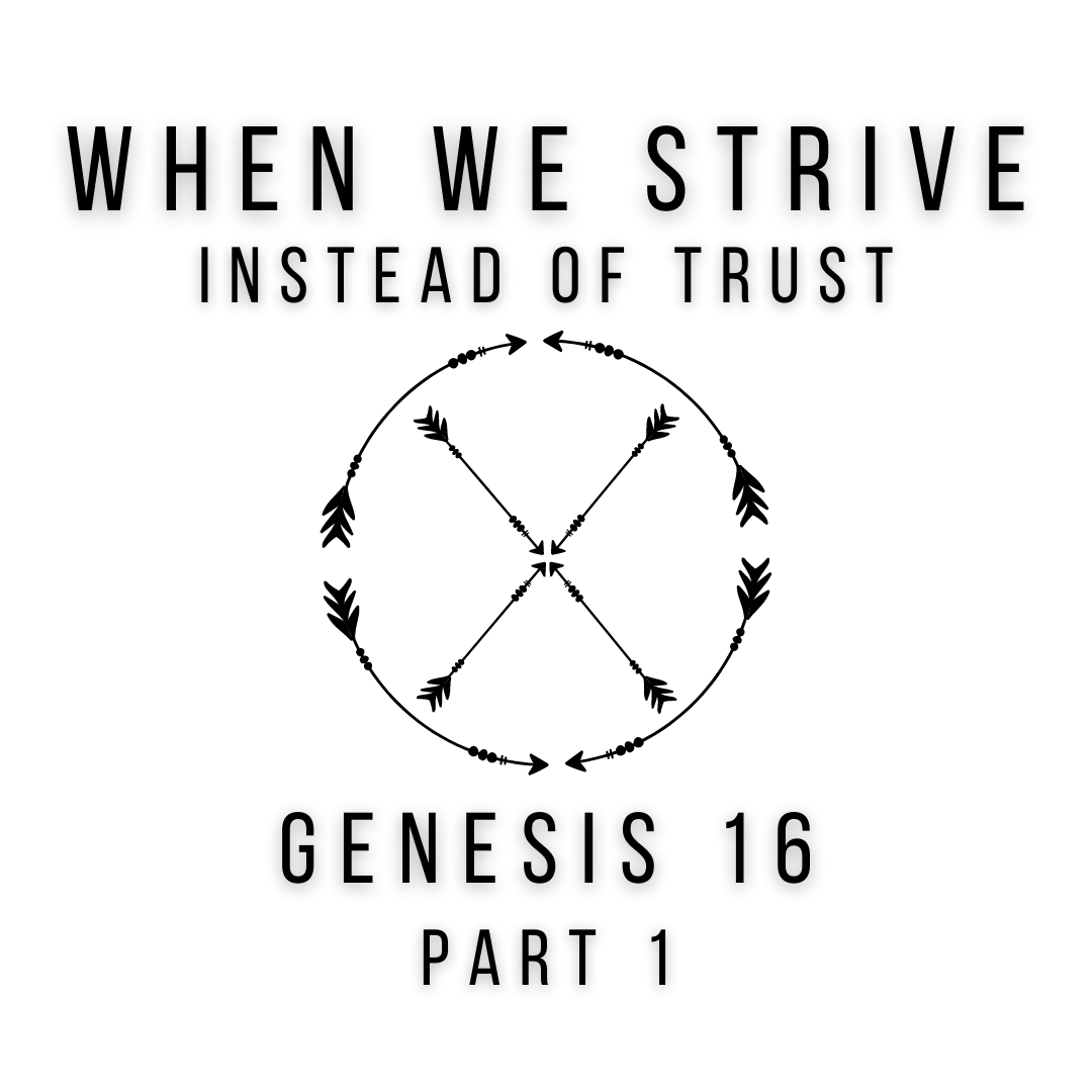Genesis 16 Part 1 episode artwork