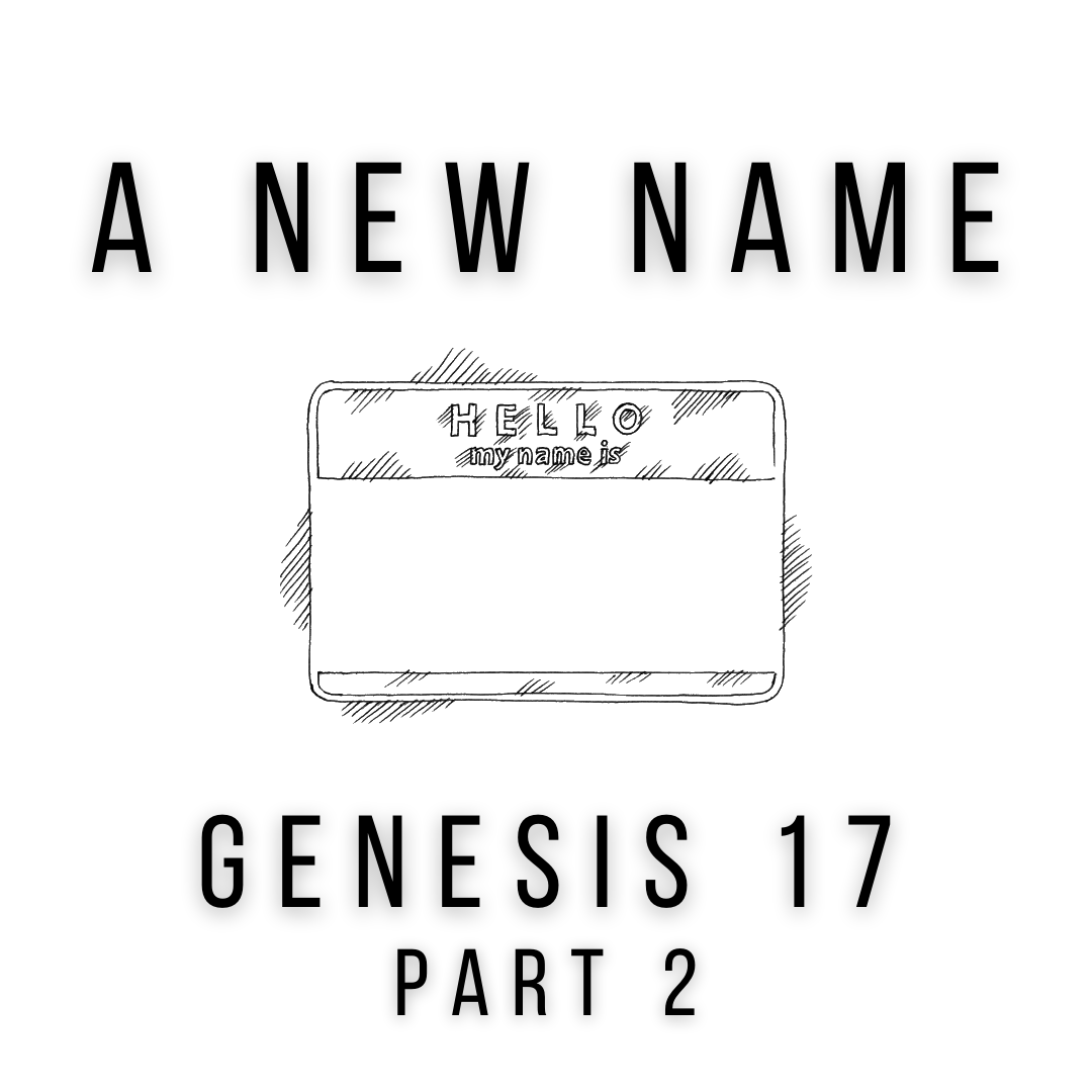 Genesis 17 Part 2