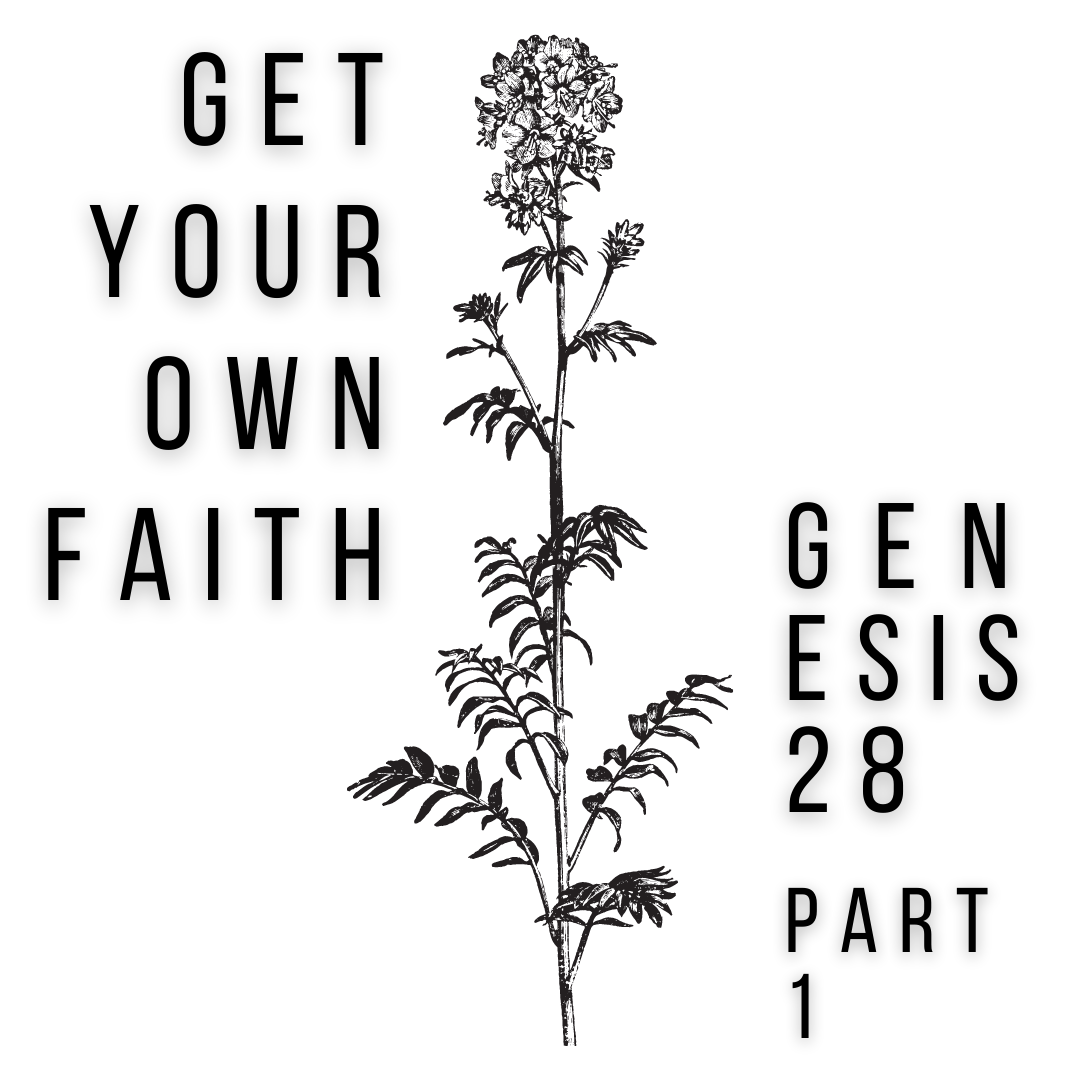 Genesis 28 Part 1 episode artwork