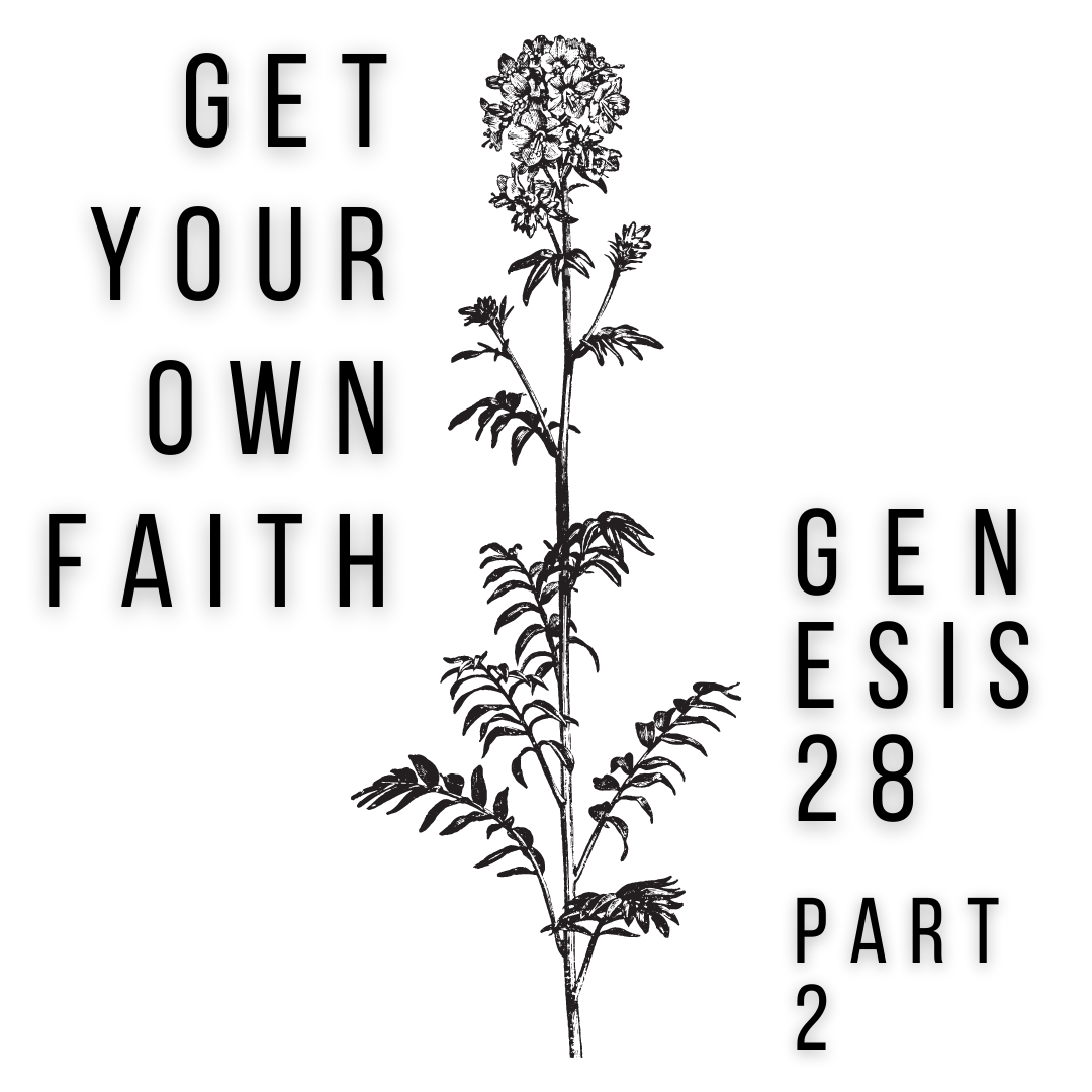 Genesis 28 Part 2 episode artwork