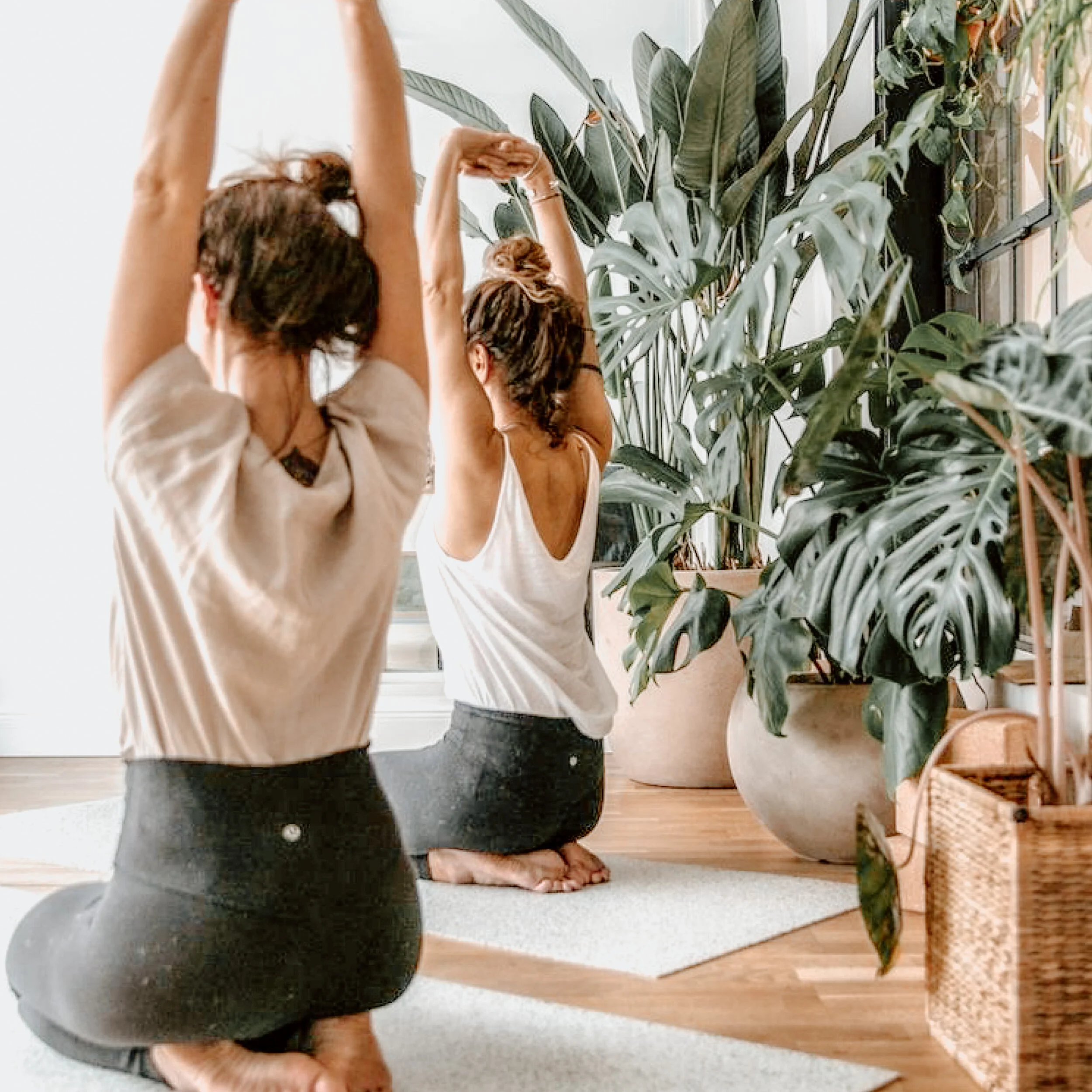 Détails et inscription