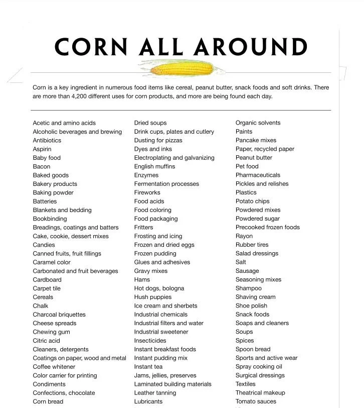 corn pic.JPG