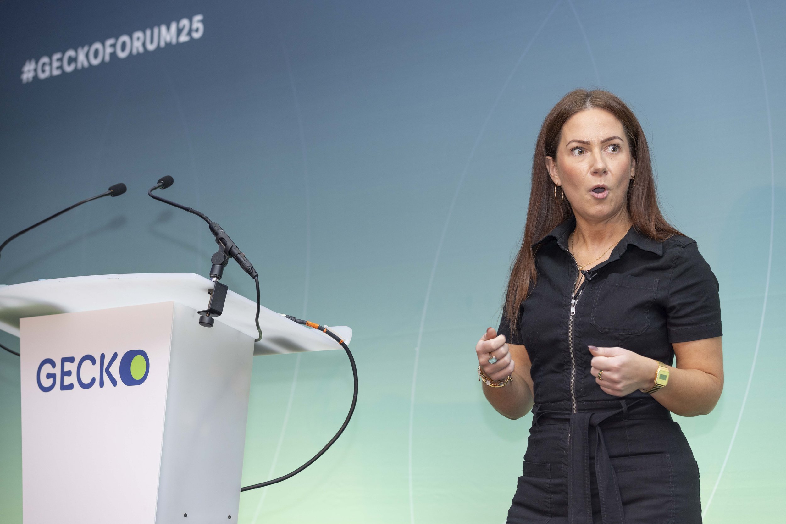 Gecko Forum 25-9.jpg