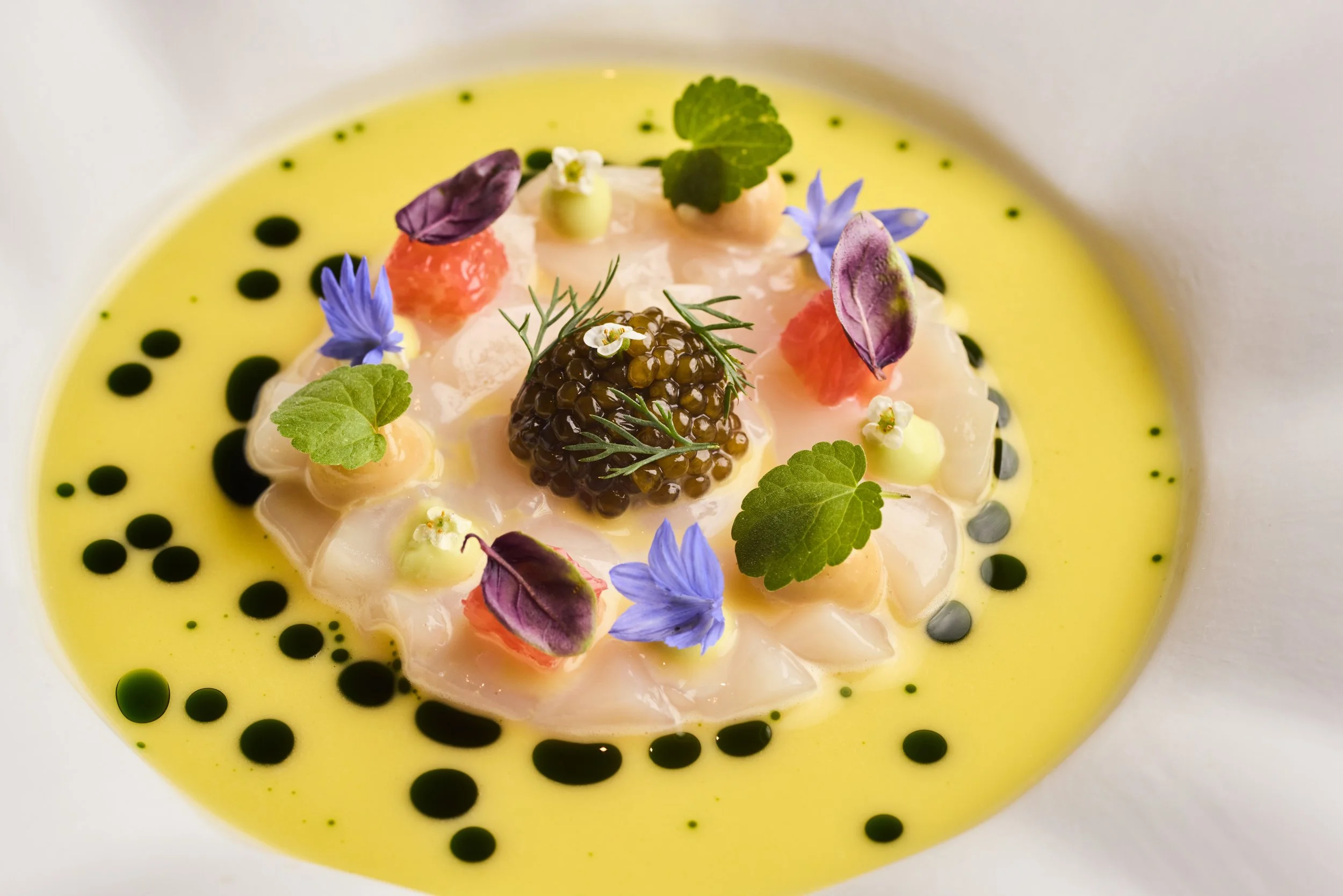 Copy of Copy of Tasting_Orkney Scallop Ceviche (1).jpg