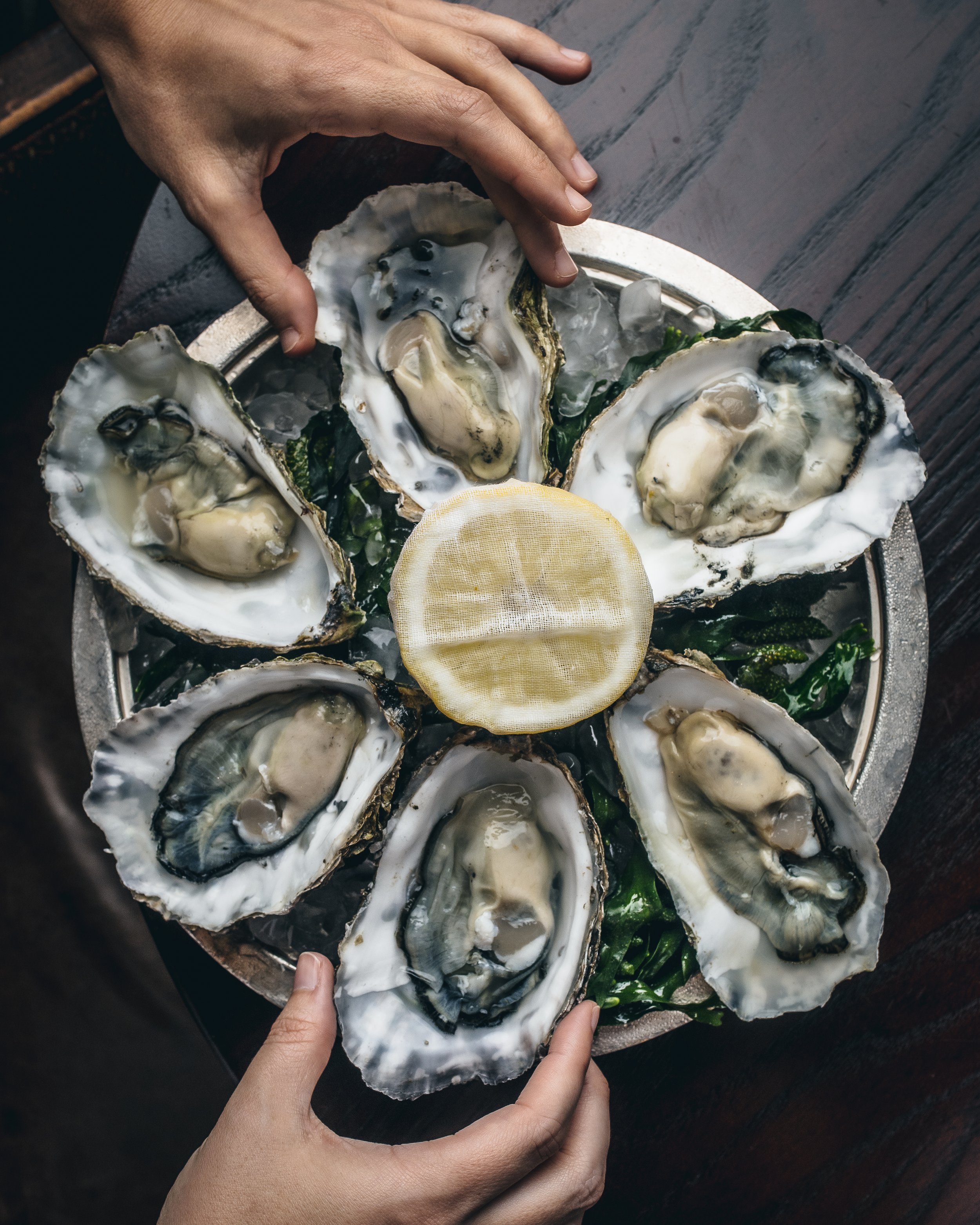 Jersey rock oysters 6.jpg