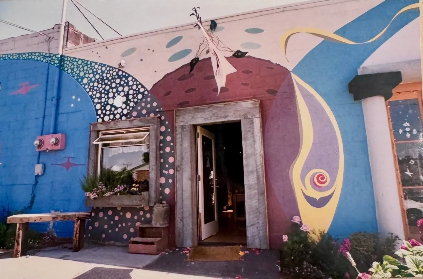 We have spent this week reflecting on the shop~ the physical bones that have absorbed 30 years of conversation, the coming and going of generations of clients, and love that has poured into this funny little spot every time one of us opens the door. 