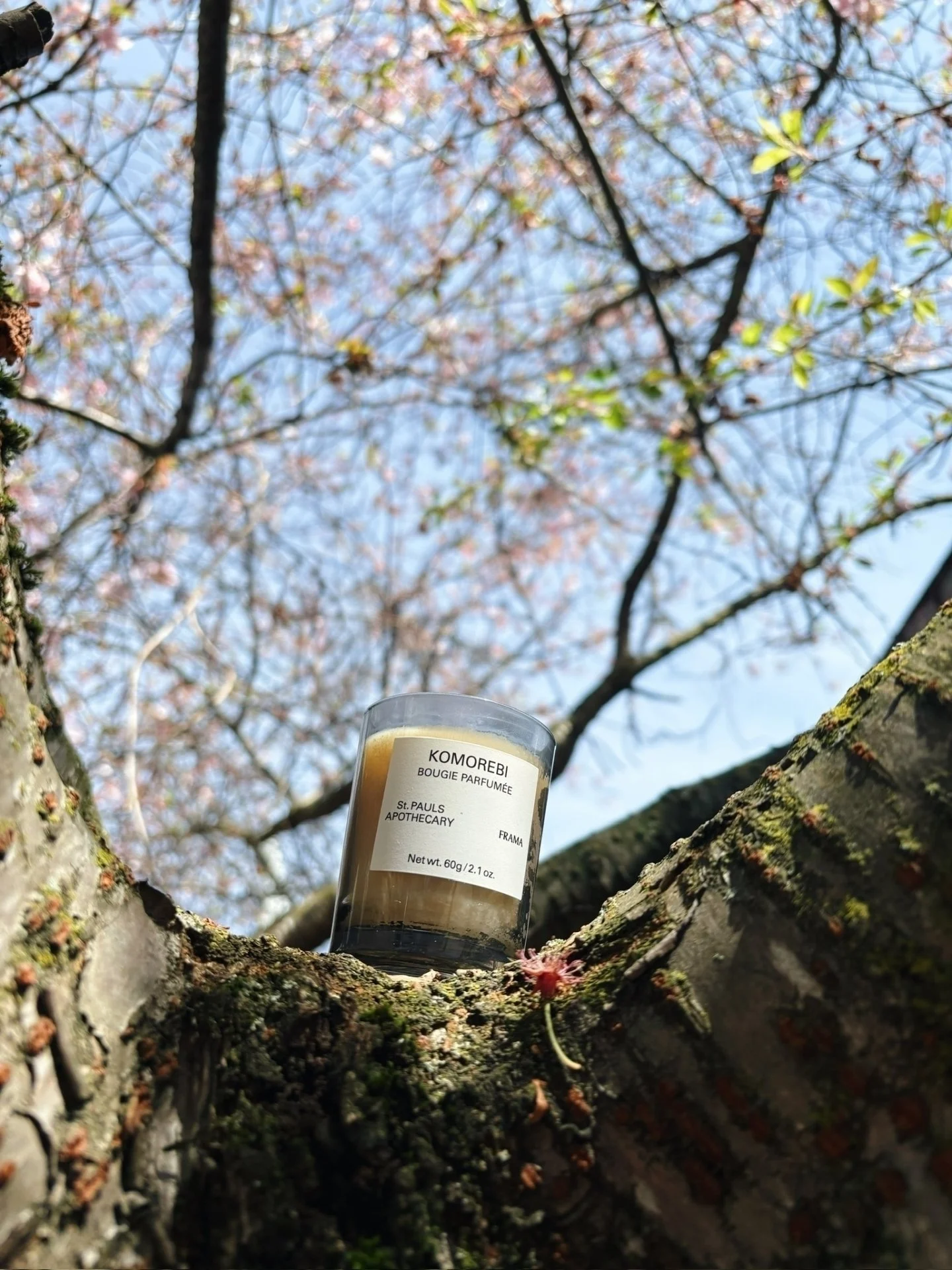 The Komorebi candle from @framacph encapsulates the feeling of light as it travels through ⛅ A light floral scent with notes of yuzu, jasmine, cyprus meant to represent a passage of time and significance.