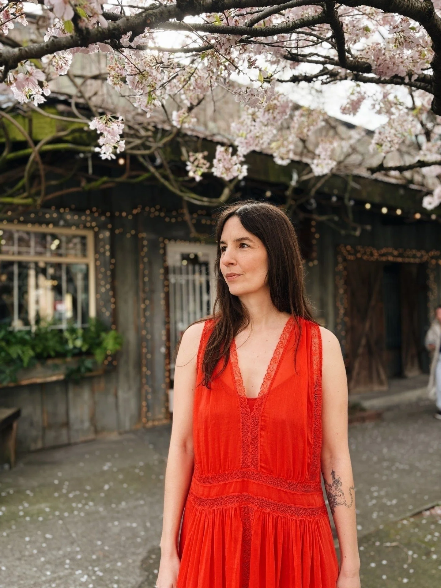 Voile &amp; Lace dress from @forte_forte 💕