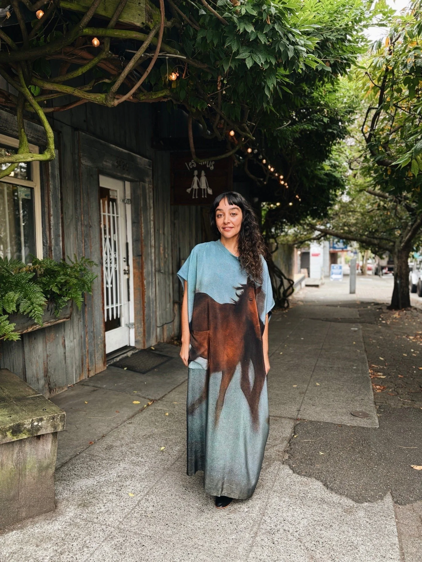 The Silk Overdress in 🐴 print from @anntianstudio