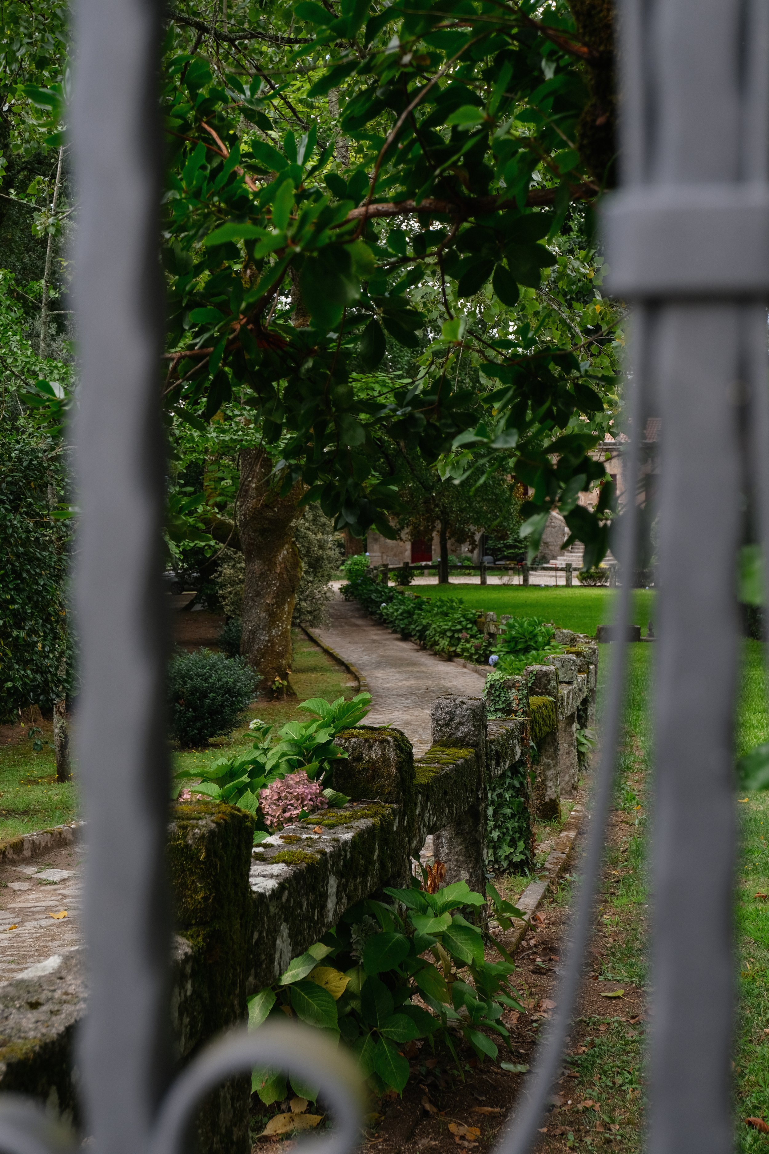 PacodaGloria-002.jpg