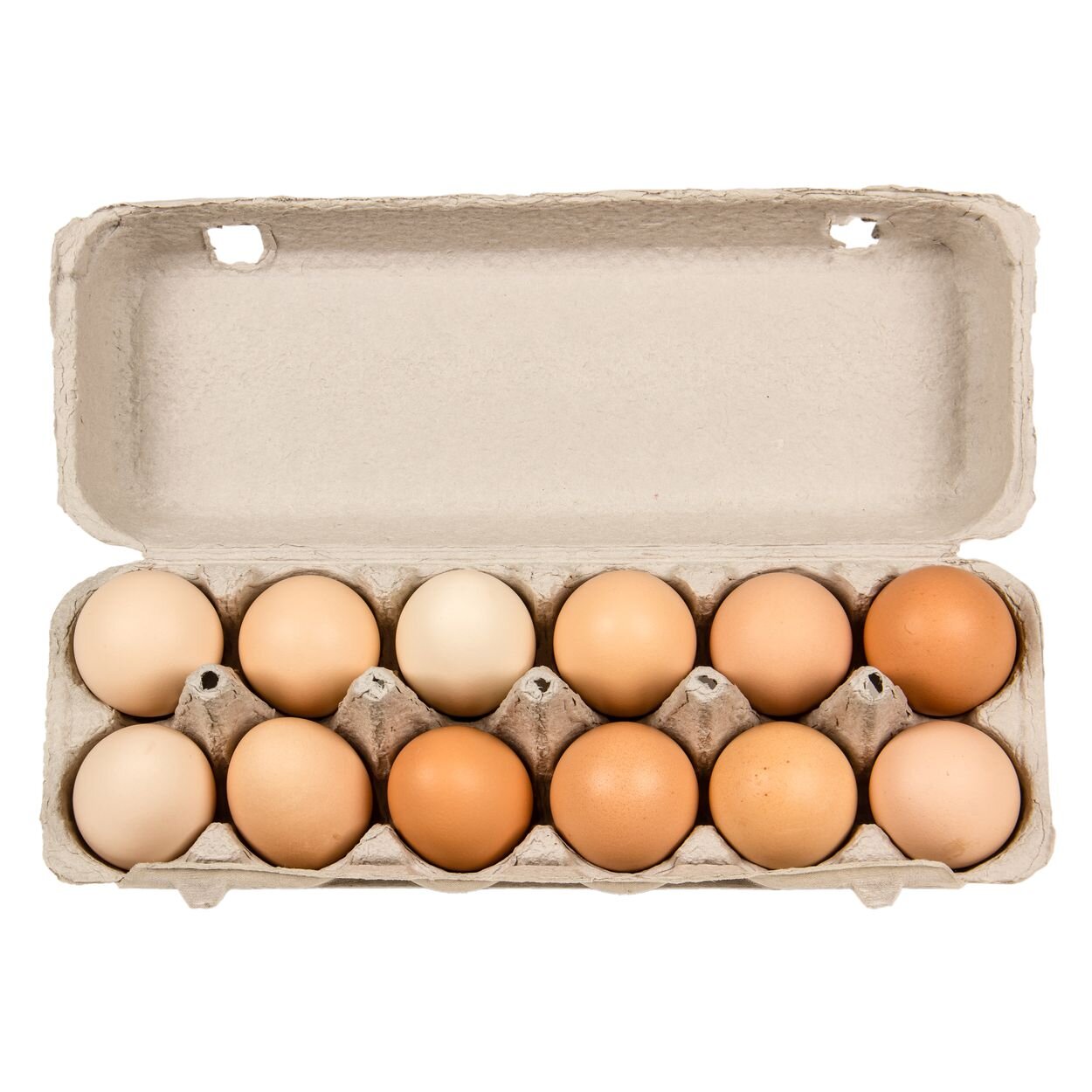 eggs.jpg