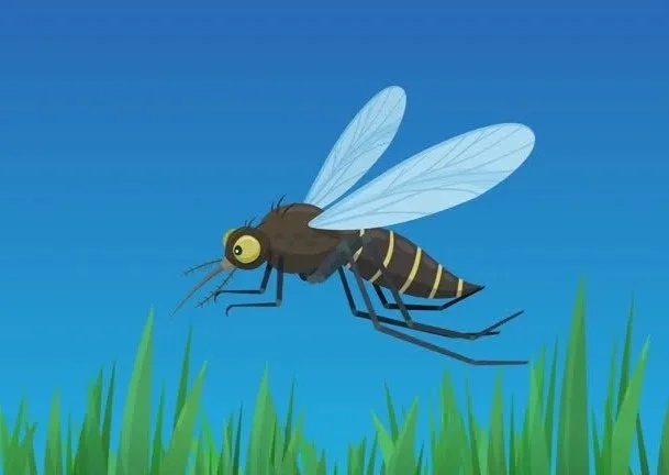 5 Tips to Reduce Mosquitoes in Your Backyard