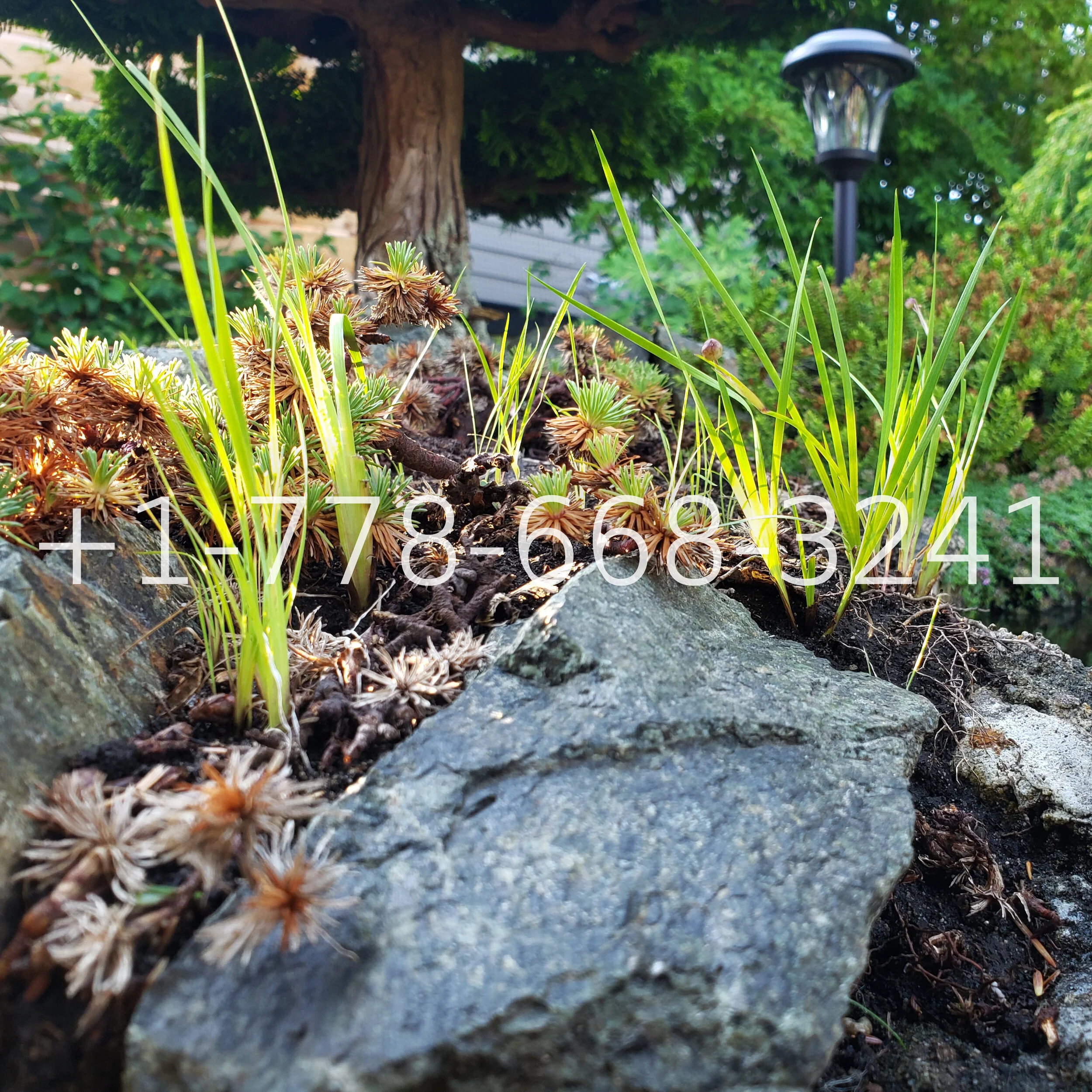 20190805_181514.jpg